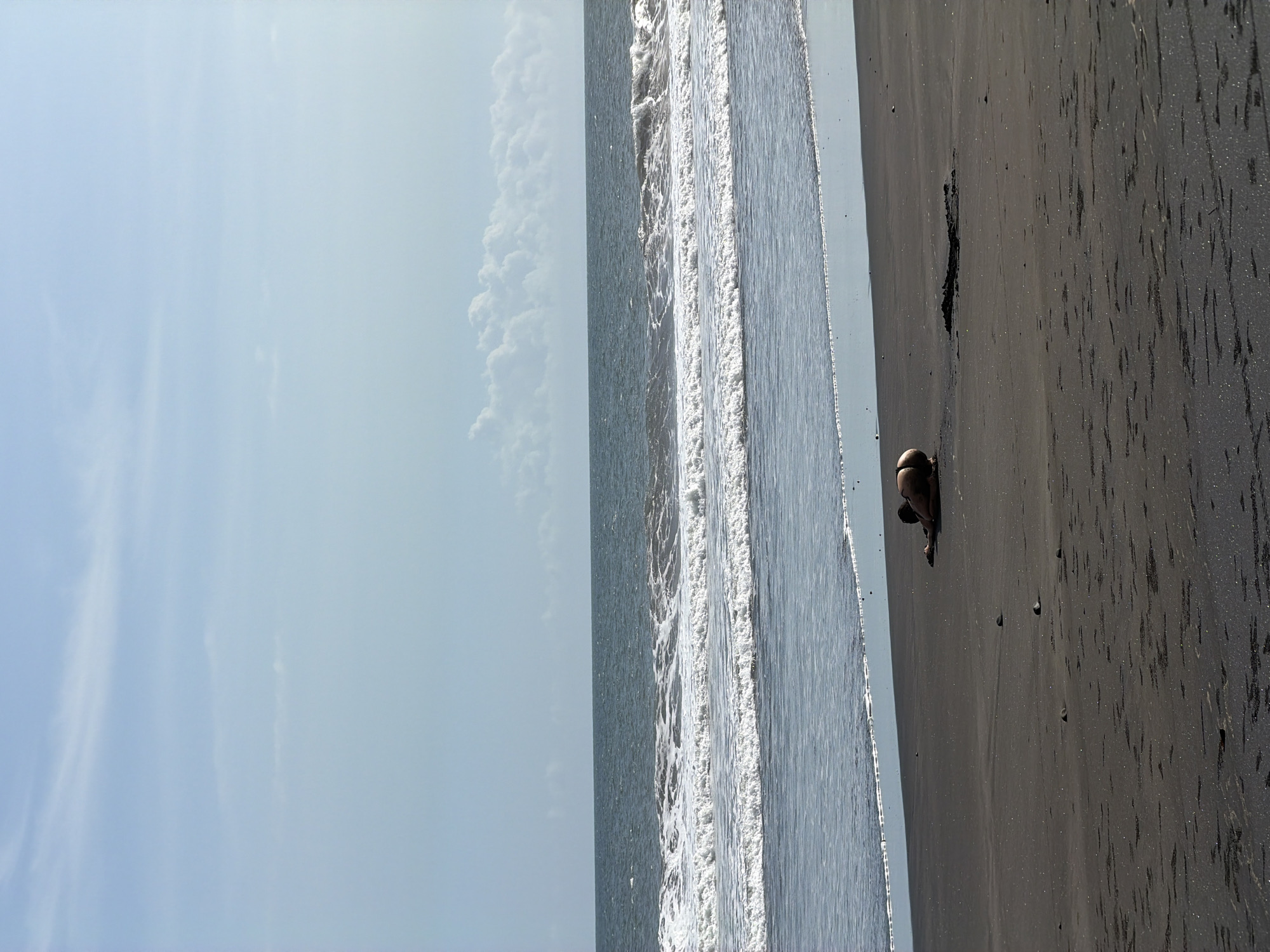 The image shows a person on a black sand beach next to a body of water, likely the ocean, under a partially cloudy sky. The person is positioned on the right side of the frame, close to the water's edge. The beach extends towards the right, with visible black sand patterns. The water has white foam on the surface. The sky is blue, with some white clouds. The scene is in Selemadeg Timur, Indonesia.