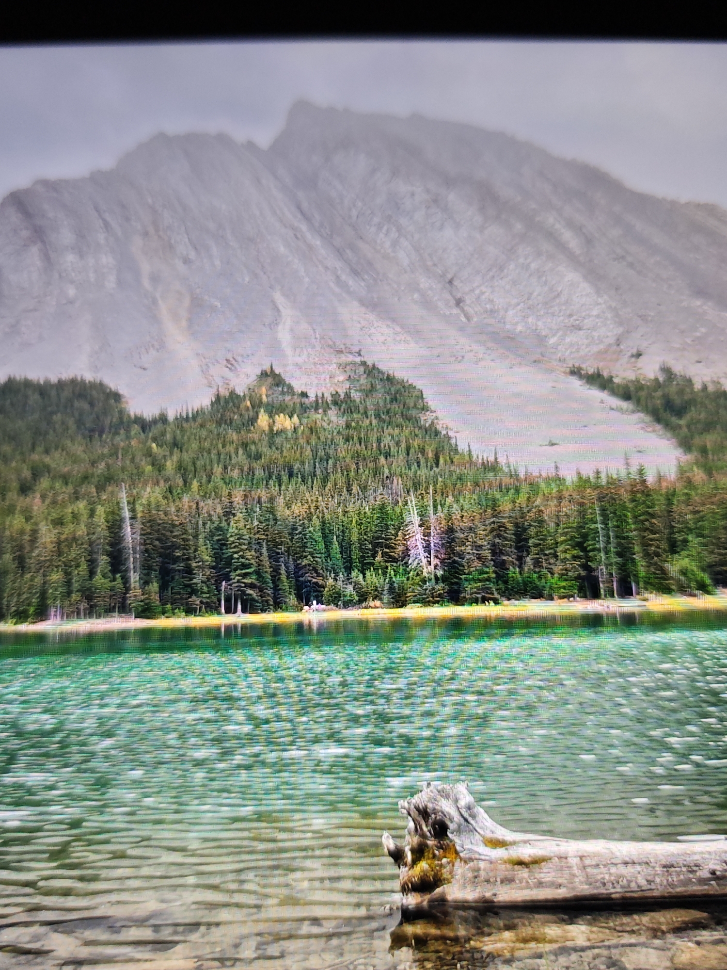 This is an image of a picturesque lake with a majestic mountain in the background. The lake's surface is a vibrant turquoise, reflecting the clear sky and surrounding trees. In the foreground, a weathered log rests partially submerged in the water, adding a rustic touch to the scene. The trees lining the lake are a mix of coniferous and deciduous species, their foliage a lush green. The mountain, with its rugged slopes and snow-capped peaks, stands tall and imposing, creating a dramatic backdrop. The sky is overcast, with a hint of mist clinging to the mountain peaks. The overall impression is one of natural beauty and serenity. While this scene is reminiscent of many beautiful mountain lakes, it is not specifically located within the city of Calgary, Canada. Calgary is situated in a prairie landscape and does not have natural mountain lakes within its city limits.