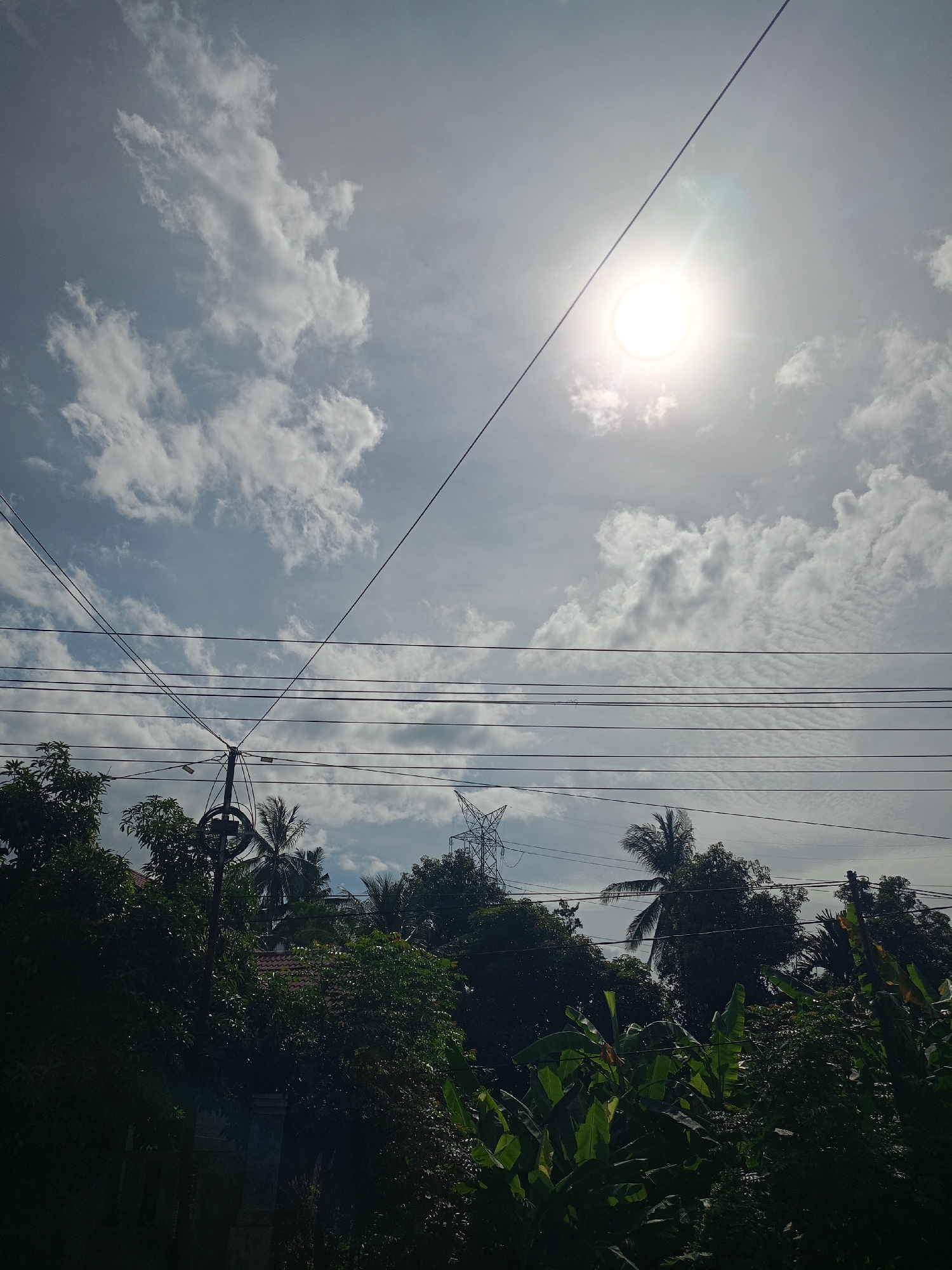 The image, taken in Teungoh Baro, Indonesia, shows a daytime view looking upward. The sun is visible through thin clouds in a bright sky. Numerous power lines crisscross the frame. Below the power lines, a dense collection of trees and foliage is visible, including banana plants and palm trees. A power pole is present on the left side. In the distance, a power transmission tower can be seen amid the trees. Some of the foliage is cast in deep shadow.