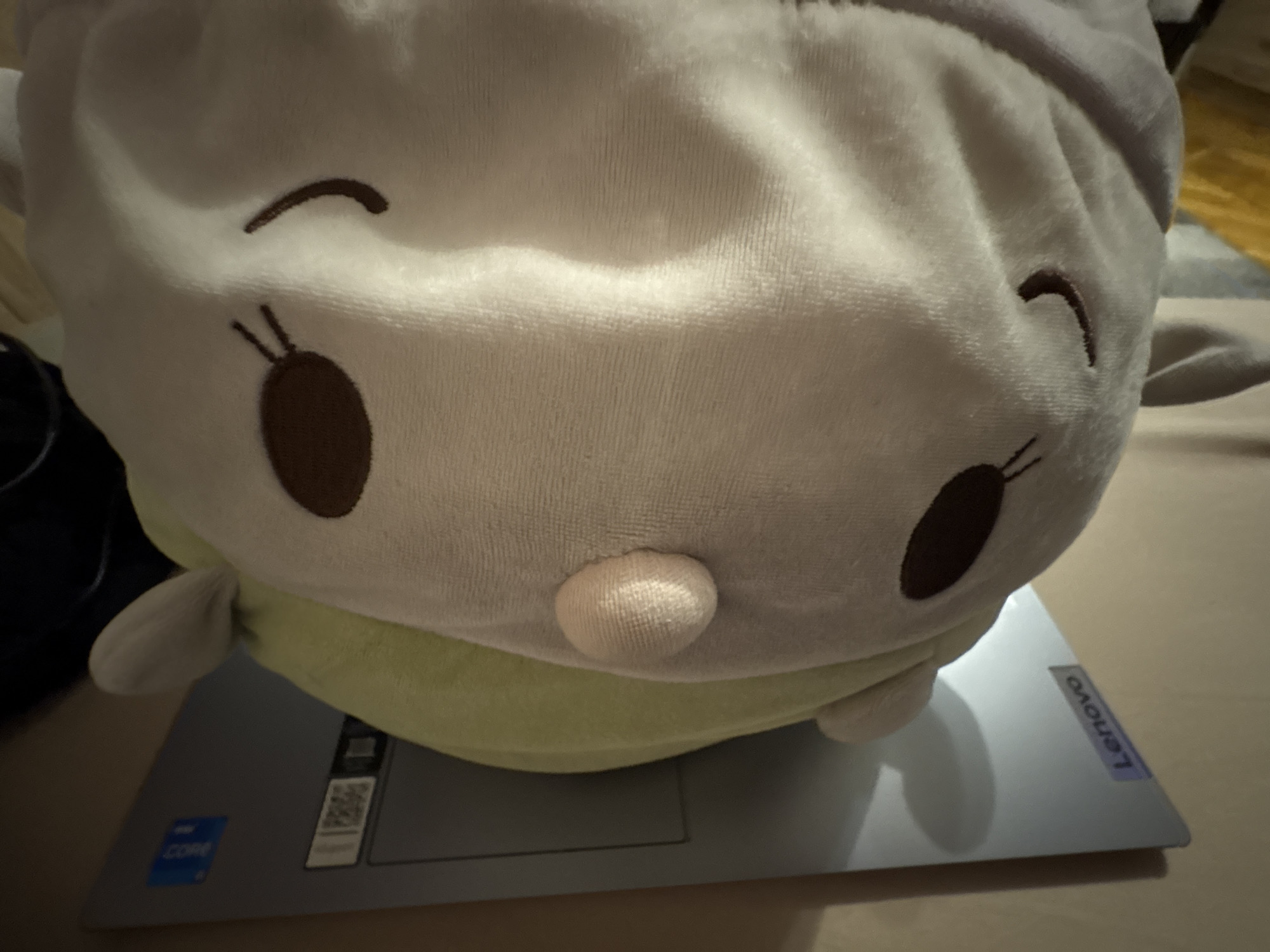 A stuffed toy is resting on a Lenovo laptop. The toy is off-white with brown eyes and a small, round nose. The laptop is on a light brown surface. The image does not contain identifiable landmarks or features suggesting Sofia, Bulgaria.