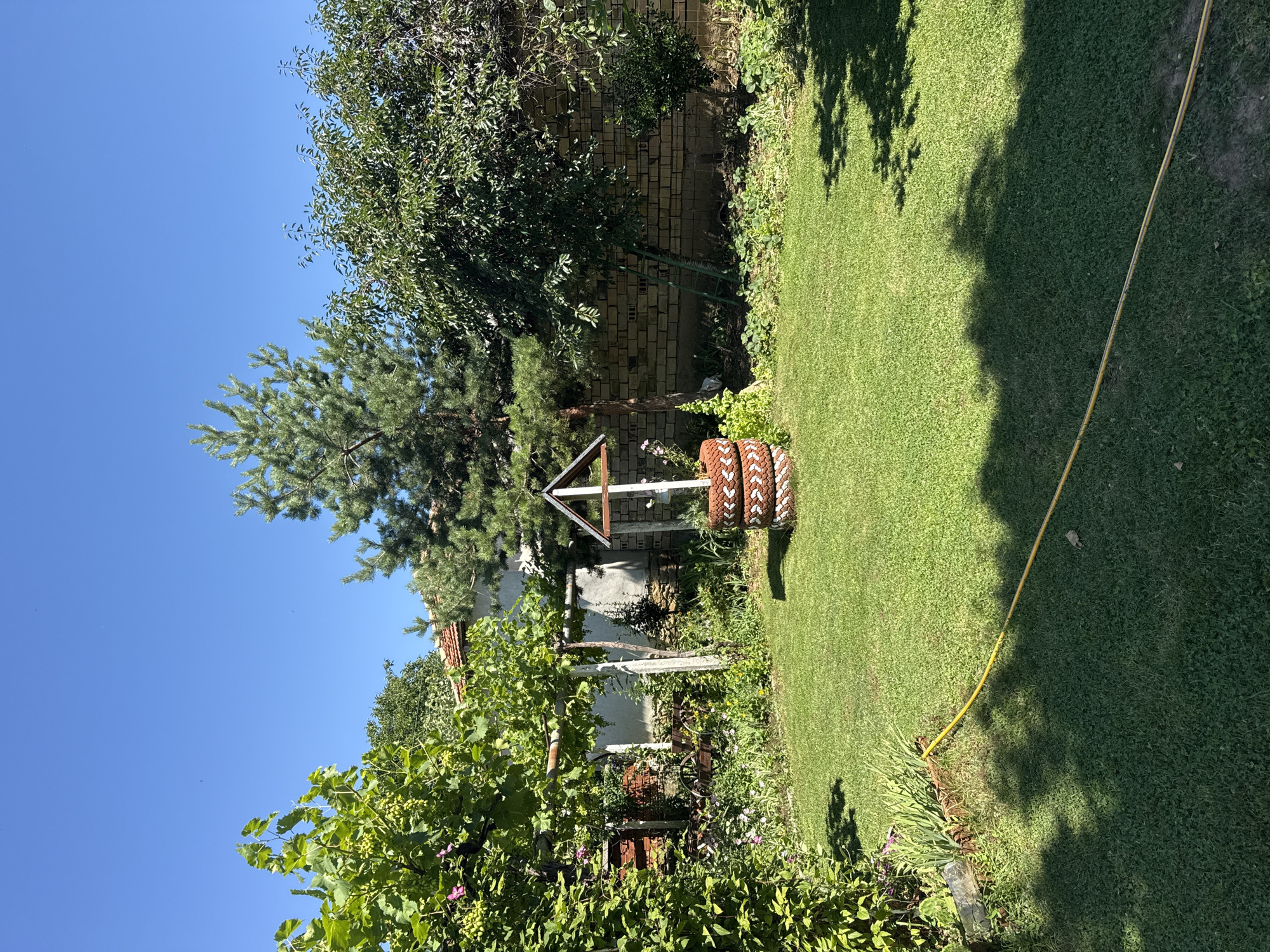 The image depicts a backyard scene in the city of Konop, Bulgaria. The foreground is dominated by a lush green lawn, with shadows cast by overhead trees. A yellow garden hose lies coiled across the grass. In the mid-ground, a decorative well constructed from stacked tires stands prominently. Behind the well, a brick wall serves as a backdrop, with various plants and trees surrounding it, including a mature pine tree. To the left, a grape vine with developing fruit is visible, climbing on a rustic support structure. A white building with a red-tiled roof is partially visible behind the foliage. The sky is clear and blue.