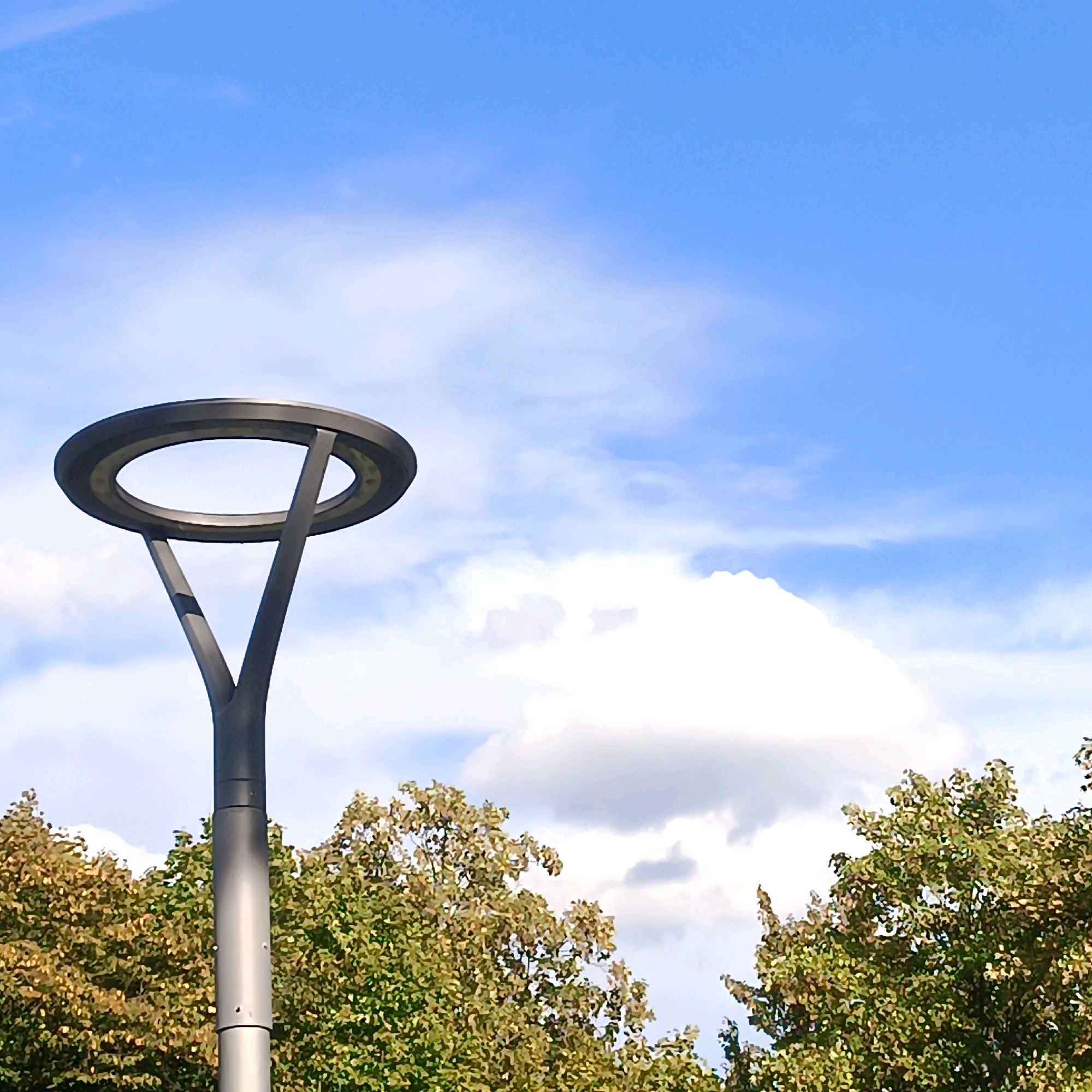 An outdoor, eye-level, medium shot captures a grey, modern lamppost against a bright blue sky dotted with soft white clouds. The lamppost has a circular top with a thin outer rim and a thicker inner rim, and a thick central pole that splits into two angled supports before joining the circular top. The lower portion of the lamppost's pole has several small, circular indentations. Behind and below the lamppost, a dense canopy of green and brown foliage from trees forms a horizontal band across the lower portion of the image. The scene appears to be a park or a street lined with trees in Frankfurt, Germany. There are no people or animals visible in the image.
