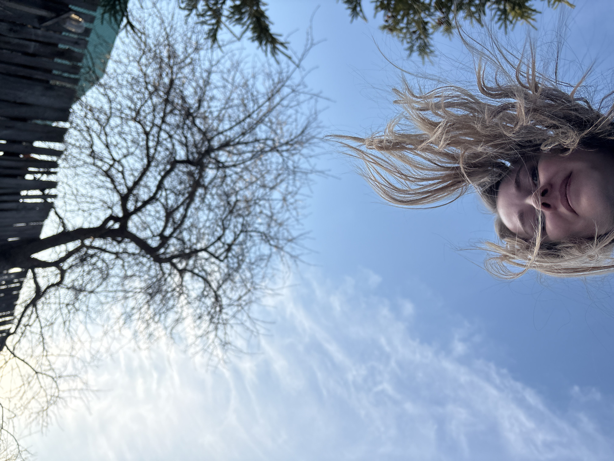 This image, taken in Chaikovsky, Russia, shows two individuals from a low-angle perspective, looking down at the camera, suggesting a selfie or playful pose. Their faces and flowing, light-colored hair occupy the right side of the frame, dramatically fanned out against the bright blue sky with wispy white clouds, suggesting movement or an intentional pose.
On the left, the intricate silhouette of a bare-branched deciduous tree stands against the sky, indicative of winter or early spring. A dark, wooden structure, likely a fence or part of a building, is visible on the far left, while evergreen foliage frames the top corners of the image. The bright blue sky with its delicate cirrus clouds indicates clear, fair weather during daytime. The expressions of the individuals appear calm and serene. No visible text is present.