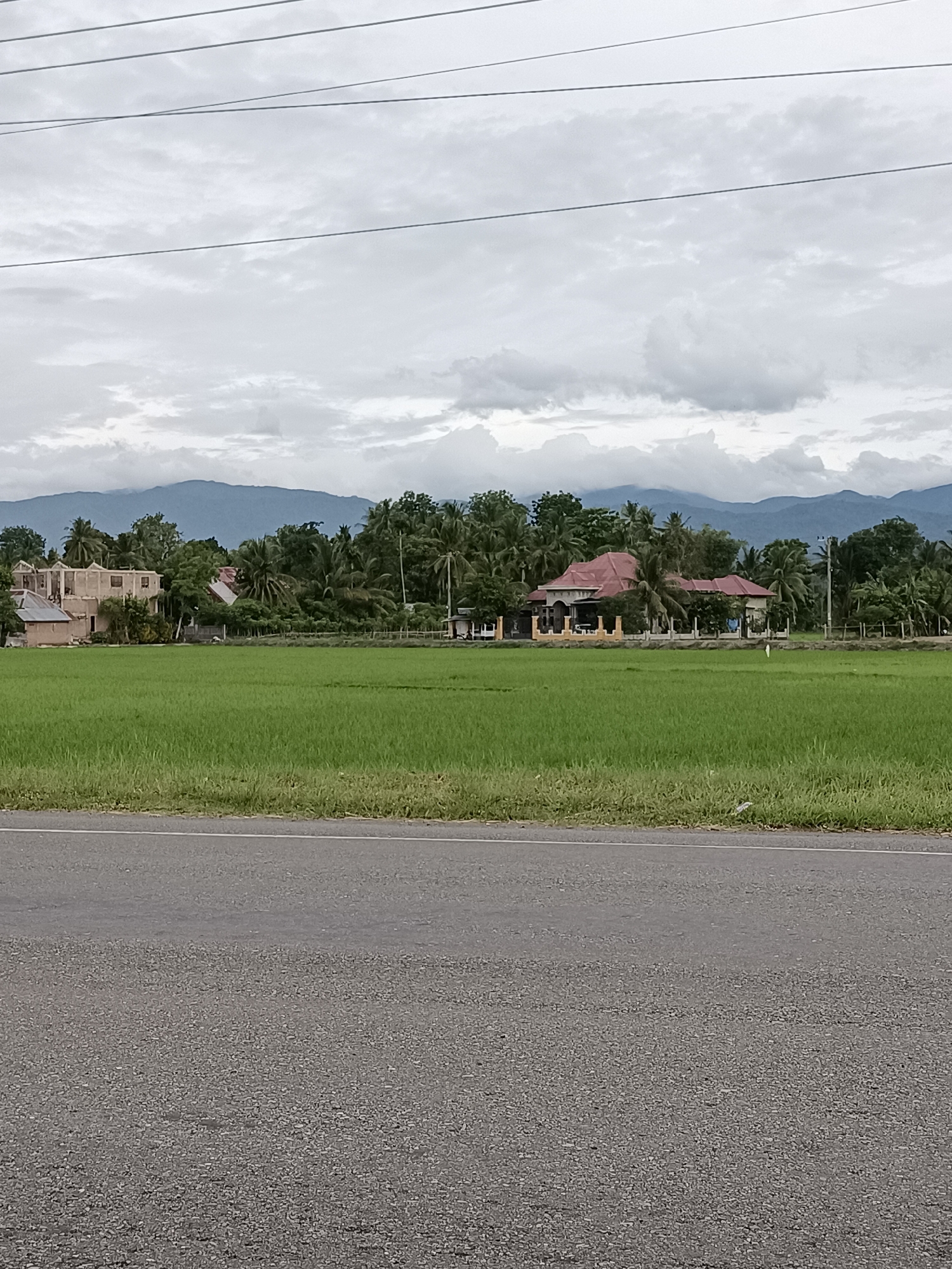 The image shows a roadside view of a rural landscape under an overcast sky. In the foreground, there is a paved road. Beyond the road, a vibrant green field of crops, likely rice paddies, stretches towards a line of lush trees and vegetation. Several structures are visible amidst the greenery, including a house under construction on the left and a larger building with a red roof further to the right. In the background, a range of mountains forms the horizon, their peaks softened by the atmospheric conditions. Overhead, several power lines are strung across the frame, indicating the presence of electrical infrastructure. The scene appears to be in a location with agricultural land and mountainous terrain, consistent with the geographical features of Bili, Indonesia.