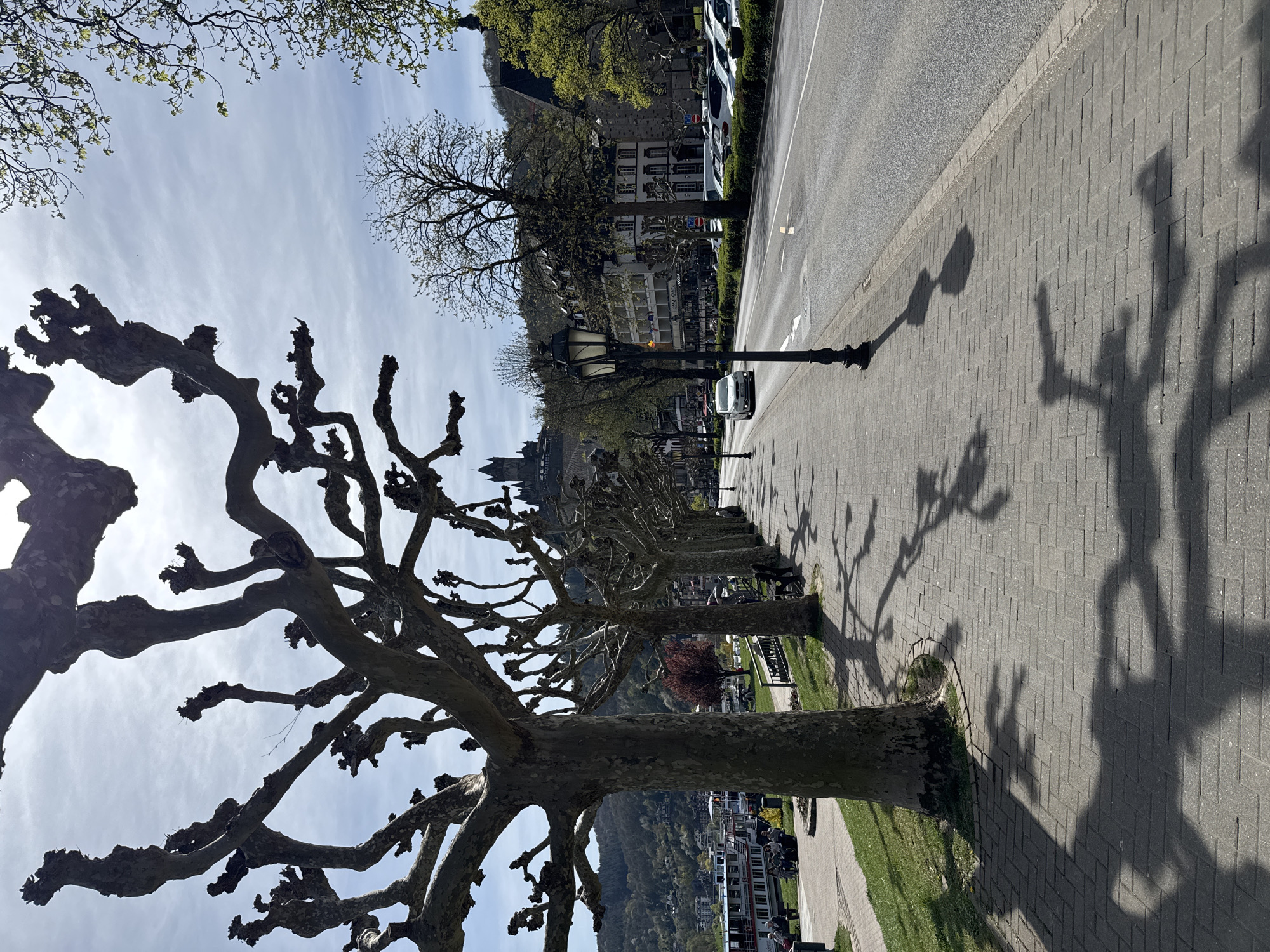 The image depicts a street scene in Cochem, Germany. A row of bare, pollarded plane trees lines a paved sidewalk adjacent to a street with parked vehicles. In the background, buildings are visible, and a castle sits atop a hill. Pedestrians can be seen in the distance, sitting on benches along the sidewalk. The shadows of the trees and lampposts are cast across the pavement. The sky is partly cloudy. The street appears to be a waterfront promenade.