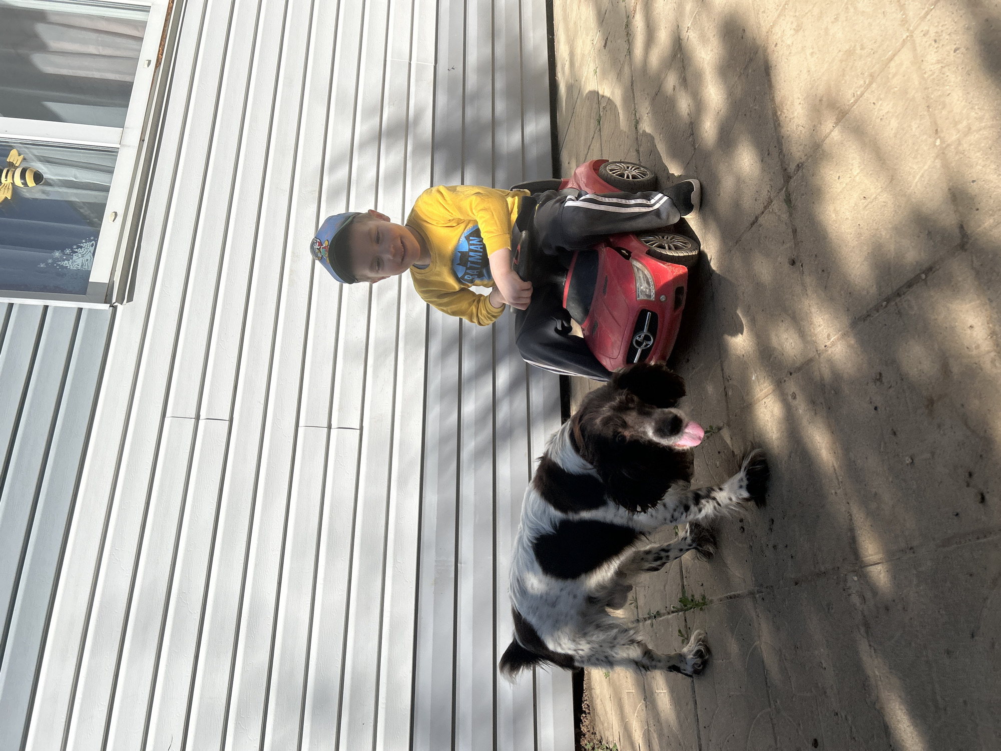 A young boy wearing a yellow shirt with a Batman logo, black pants with white stripes, and a blue cap is seated on a red toy car in an outdoor setting. A black and white Springer Spaniel dog stands beside the car. The background includes a white-sided building and a concrete surface casting shadows. The location in the city of Фоки, Russia is not apparent from the image.