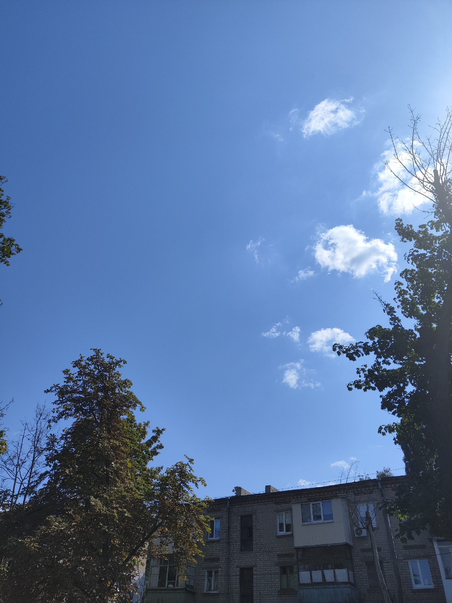 The image depicts a clear blue sky with a few scattered white clouds. In the foreground, the tops of several trees are visible, with lush green foliage on one and bare branches on another. To the right, the upper portion of a brick apartment building is visible, featuring multiple windows and balconies. The building appears to be in an urban setting. The lighting suggests it is daytime, with sunlight casting a bright glare on the upper right portion of the sky. The scene is consistent with an outdoor view from a residential area in Kharkiv, Ukraine.