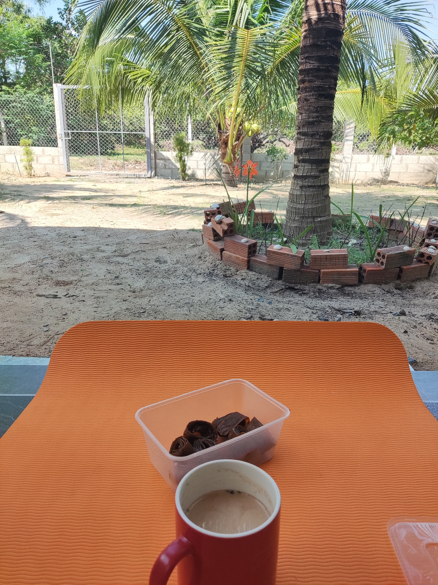 The image captures a still life arrangement set in what appears to be a backyard or outdoor area, potentially within a residential setting. The scene is situated in the city of Unknown, Unknown.
In the foreground, an orange textured surface dominates the view, possibly a mat or tablecloth. It supports a transparent plastic container filled with what seem to be dark, rolled-up food items. Beside this, there's a red mug containing a milky beverage, likely coffee or tea.
Moving into the midground, the area transitions to sandy ground or dirt. A circular arrangement of red bricks encircles the base of a palm tree. A few red flowers and green plants also decorate this area.
In the background, a wire fence is visible, separating the property from an adjacent area. Beyond the fence, there is more vegetation and additional structures that are difficult to discern. The sky is visible above the vegetation.