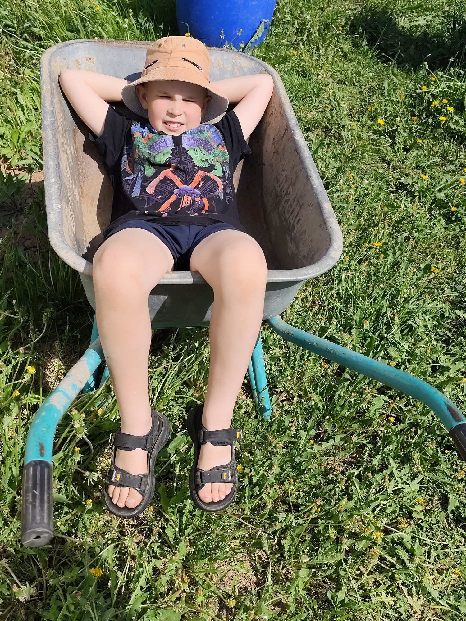 A young boy lies in a gray metal wheelbarrow in a grassy outdoor setting. He wears a tan sun hat, a dark t-shirt with a graphic design, dark shorts, and black sandals. His hands are behind his head. The wheelbarrow has a blue-green frame and is positioned on a lawn interspersed with dandelions. The top portion of a blue container is visible in the background. The location appears to be a yard or park setting.