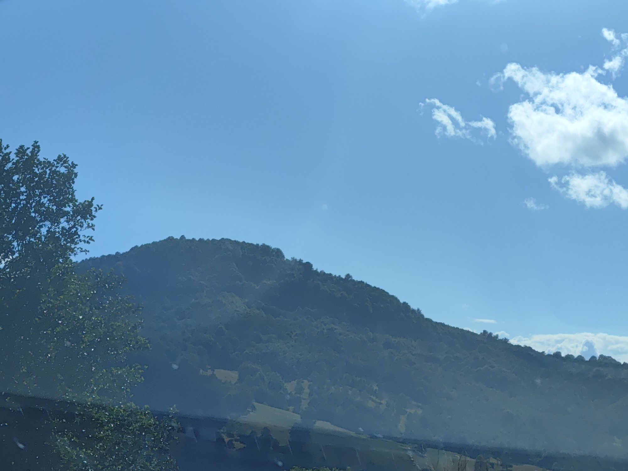 The image depicts a vast expanse of a heavily wooded mountain range under a clear blue sky with scattered white clouds. The foreground features the dark silhouette of a large tree with dense foliage on the left side, partially obscuring the lower portion of the mountain. The mountain itself is covered in a thick carpet of trees, with subtle variations in green hues indicating its undulating terrain. The sky is a vibrant cerulean, with fluffy white clouds congregating towards the right side of the frame. There are no visible people or man-made structures in the immediate scene, creating a natural and remote landscape. The scene is devoid of any discernible activity or interaction. The image captures a serene, mountainous environment, likely a natural park or undeveloped area.