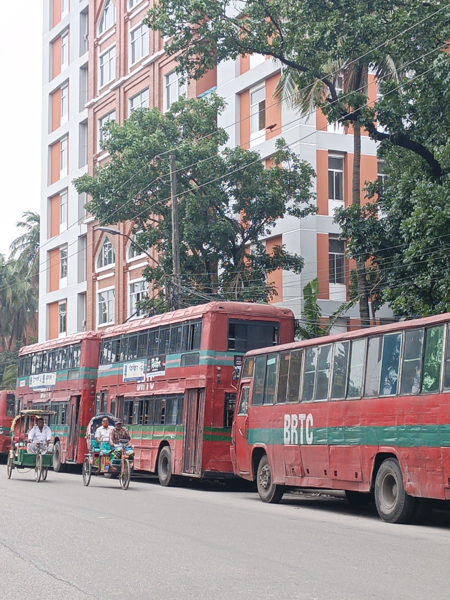 This full-shot street scene captures a vibrant daytime environment, likely in an urban area of Bangladesh, characterized by its diverse transportation methods. The lighting suggests an overcast day or bright diffused light, with no harsh shadows.
In the foreground and midground, multiple vehicles occupy a paved road. On the left, two cycle-rickshaws are visible. The closest rickshaw, painted green, carries a driver and a passenger in a white shirt. Behind it, another rickshaw with a blue canopy is driven by a man, and a passenger wearing a light blue shirt and a face mask is seated, indicating contemporary health practices.
Dominating the right side of the image are several red buses, either parked or queuing. Two red double-decker buses, featuring a prominent horizontal green stripe, are visible. Further to the right, a single-decker red bus also has the green stripe and clearly displays the white letters "BRTC" (Bangladesh Road Transport Corporation) on its side. Bengali script, likely indicating routes or operational details, is also visible on the sides of the double-decker buses.
In the background, a tall, multi-story building stands out with varied architectural elements. One section of the building features a modern facade with white and orange-peach colored panels and rectangular windows. Adjacent to it, another section showcases a red brick facade with elegant arched windows, suggesting a blend of architectural styles. Lush green trees are scattered throughout the scene, partially obscuring parts of the buildings and utility lines. Several palm trees are also visible, along with utility poles and a street light fixture. The scene depicts a dynamic urban landscape, where traditional and public transport coexists amidst the backdrop of evolving city infrastructure.