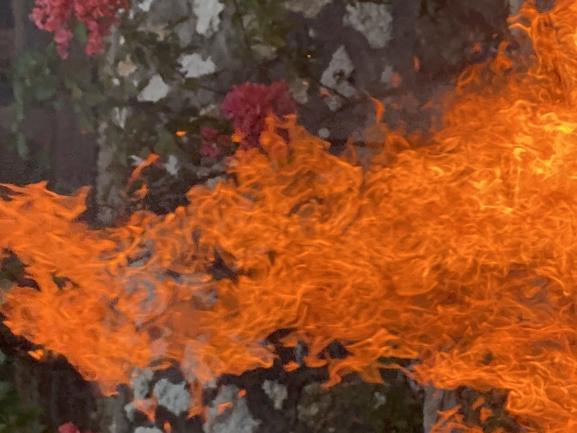 The image shows a close-up of a fire with vibrant orange and yellow flames. In the background, out of focus, are what appear to be rocks and pink flowers. There is no indication of the city of Kuta Selatan, Indonesia, in the image.