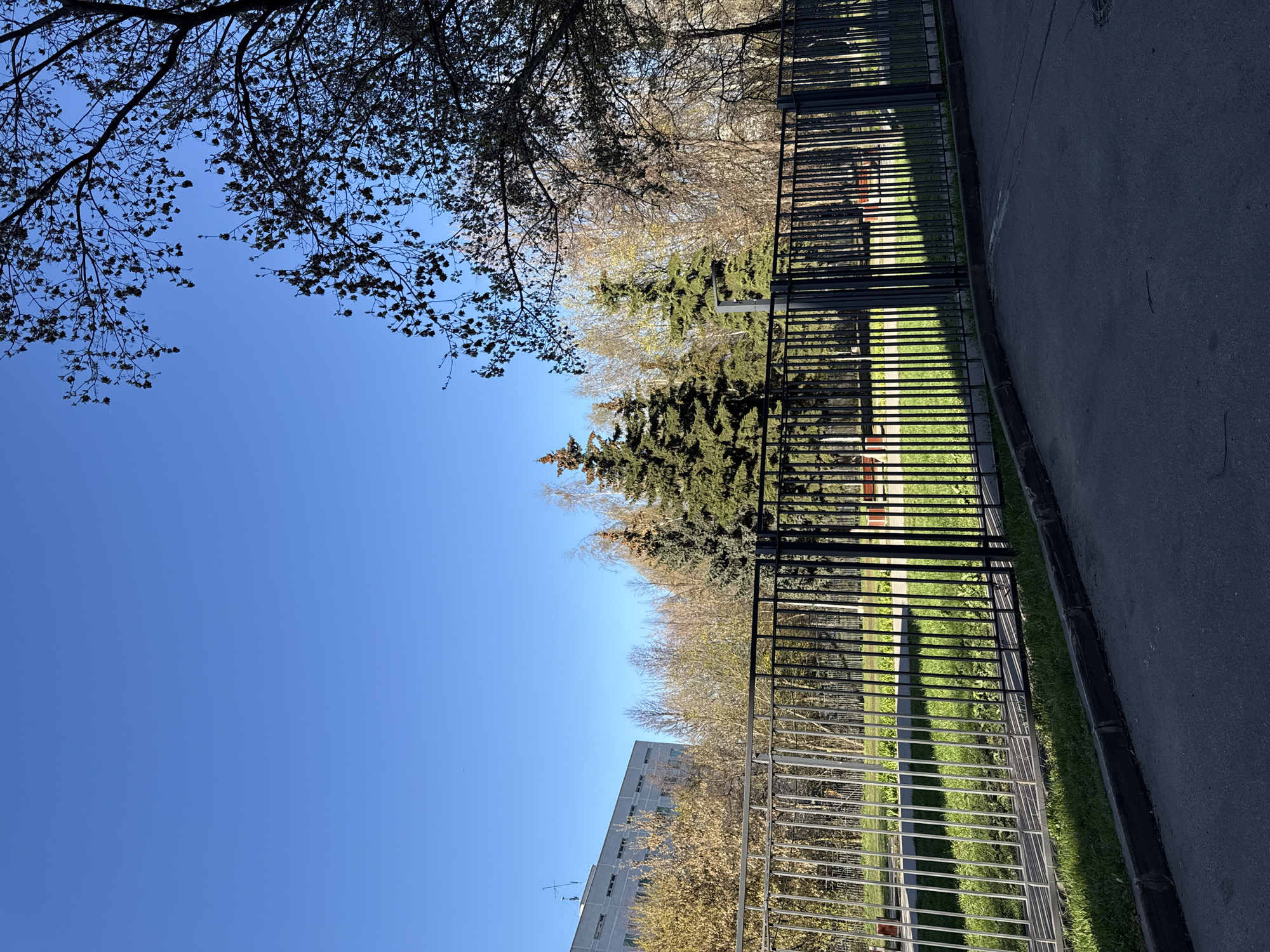 The image shows a street scene in Moscow, Russia. A metal fence runs along the right side of the frame, separating a grassy area with trees from the asphalt road. On the other side of the fence, there's a glimpse of a building. The sky is clear and blue, with tree branches visible in the upper left corner. The angle of the photo suggests it was taken from a low vantage point, and rotated by 90 degrees counter-clockwise.