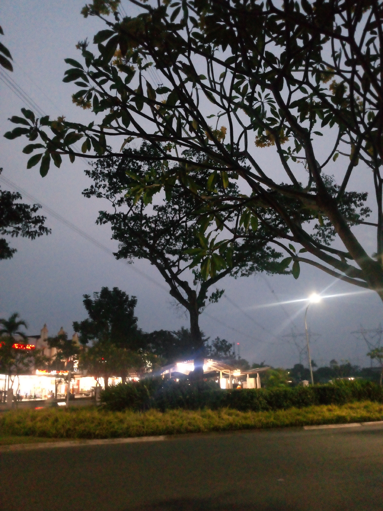 This is a nighttime or dusk outdoor scene in Cikupa, Indonesia, viewed from a street. In the foreground, there is an asphalt road. Beyond the road is a strip of grass, followed by a dense line of green bushes and trees. In the background, several structures are visible. To the left, a building with illuminated windows and signage, possibly a commercial establishment, is present. A palm tree is visible to the left of this building. Further to the right, there are more trees and some smaller structures with lighting. A street lamp with a bright light is visible in the middle ground to the right, casting a glare. Power lines and transmission towers are discernible in the upper background against the dim sky. The overall atmosphere is dim, suggesting evening or overcast conditions. No individuals are clearly distinguishable or engaged in any specific actions. The scene depicts a street-side view of a developed area at low light.