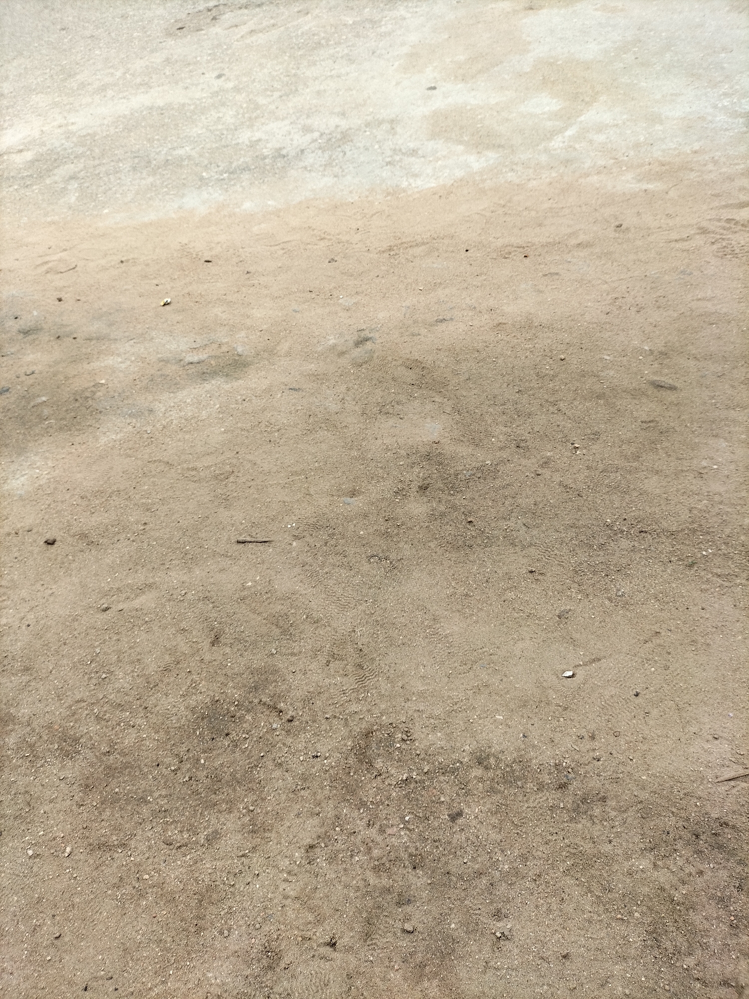 The image depicts a dry, sandy ground surface, potentially a dirt path or an unpaved area, in Jalingo, Nigeria. The ground is a light brown to beige color, with variations in texture due to the presence of small pebbles and particles of sand. There are subtle indentations and scuff marks on the surface, suggesting foot traffic or the passage of small objects. The lighting suggests it is daytime, with a bright, possibly overhead light source casting minimal shadows, indicating an overcast sky or diffused sunlight. The area appears devoid of significant vegetation or prominent man-made structures. The overall impression is one of a natural, open ground environment in a warm climate.