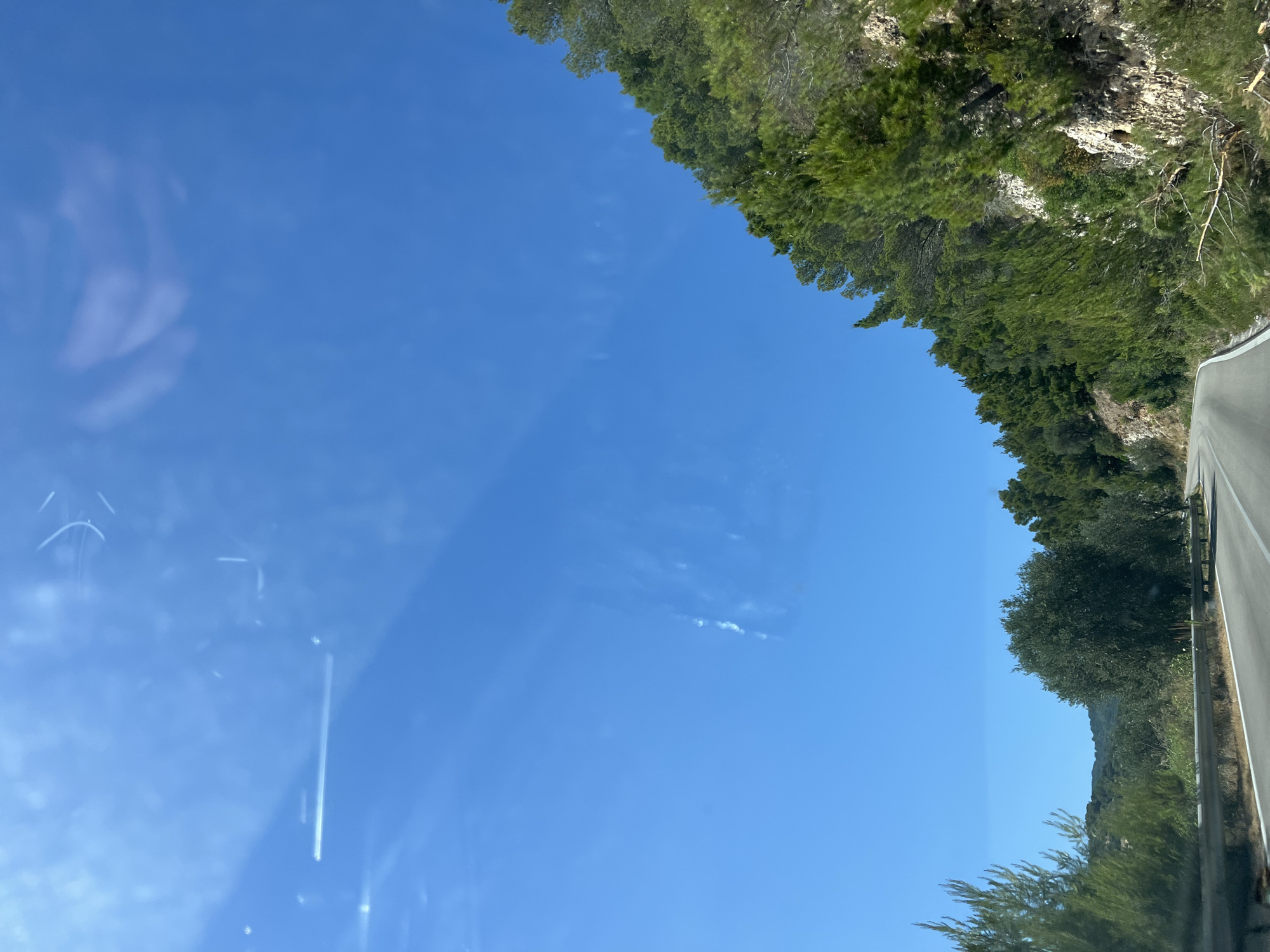 The image depicts a scenic drive on a curved road through a lush, green landscape under a clear blue sky. The road appears to be a paved two-lane highway with a guardrail on the right side. On the right side of the road, a dense forest of evergreen trees, predominantly pine trees, covers a rocky hillside that rises steeply. Some of the trees are quite tall, reaching towards the sky, while others are shorter and shrub-like. On the left side of the road, the landscape is also green and hilly, with scattered trees and vegetation. In the distance, rolling hills are visible, covered in similar greenery. The sky is a vibrant, cloudless blue, with a slight glare visible in the upper left corner, suggesting the photo was taken from inside a vehicle. The overall impression is one of natural beauty and a tranquil journey. This scene is consistent with the coastal roads found in and around Mattinata, Italy, a town known for its scenic beauty and location within the Gargano National Park, which features dense pine forests and rugged coastlines.