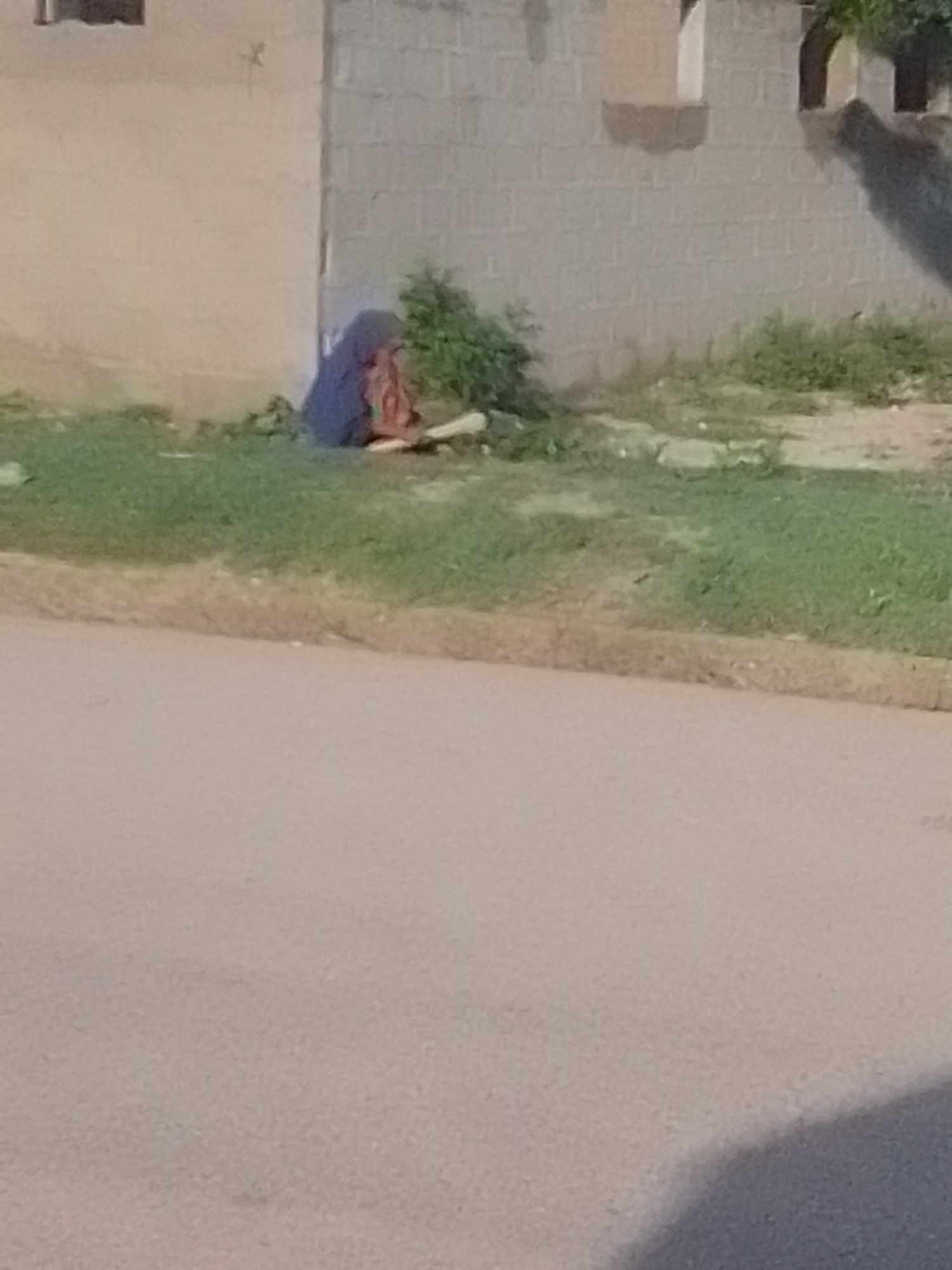 In the city of Liji Hill, Nigeria, a person is sitting on the ground near a wall. The person is wearing a dark blue garment that covers their head and body, with some reddish-brown fabric visible around their face and shoulders. They appear to be holding something in their lap, possibly a book or a small object. The person is positioned on a grassy area adjacent to a dirt path and a wall constructed of cinder blocks. The wall has openings that suggest windows or doorways, and the surface is textured. Green vegetation is growing around the person and along the wall. The ground in front of the grassy area is a paved road. The scene is captured in daylight, but the lighting is somewhat diffused.
