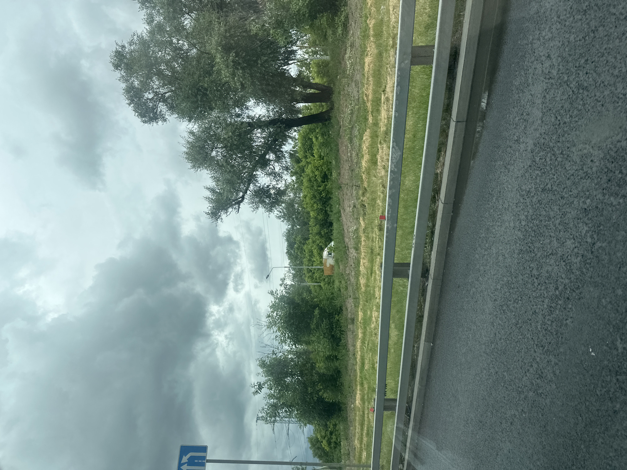 The image depicts a roadside scene with a cloudy sky overhead. In the foreground, a wet asphalt road is visible, with some puddles reflecting the sky. A gray metal guardrail separates the road from a grassy embankment. Beyond the embankment, there is a line of trees and vegetation. A blue traffic sign with white arrows indicating lane direction is mounted on a pole to the left. In the background, several trees are prominent, with power lines and a lamppost visible between them. A white van is parked among the trees on the right side of the image. The overall impression is of a somewhat overcast day in an urban or suburban area, likely near a thoroughfare. The location is Dzerzhinsky, Russia.