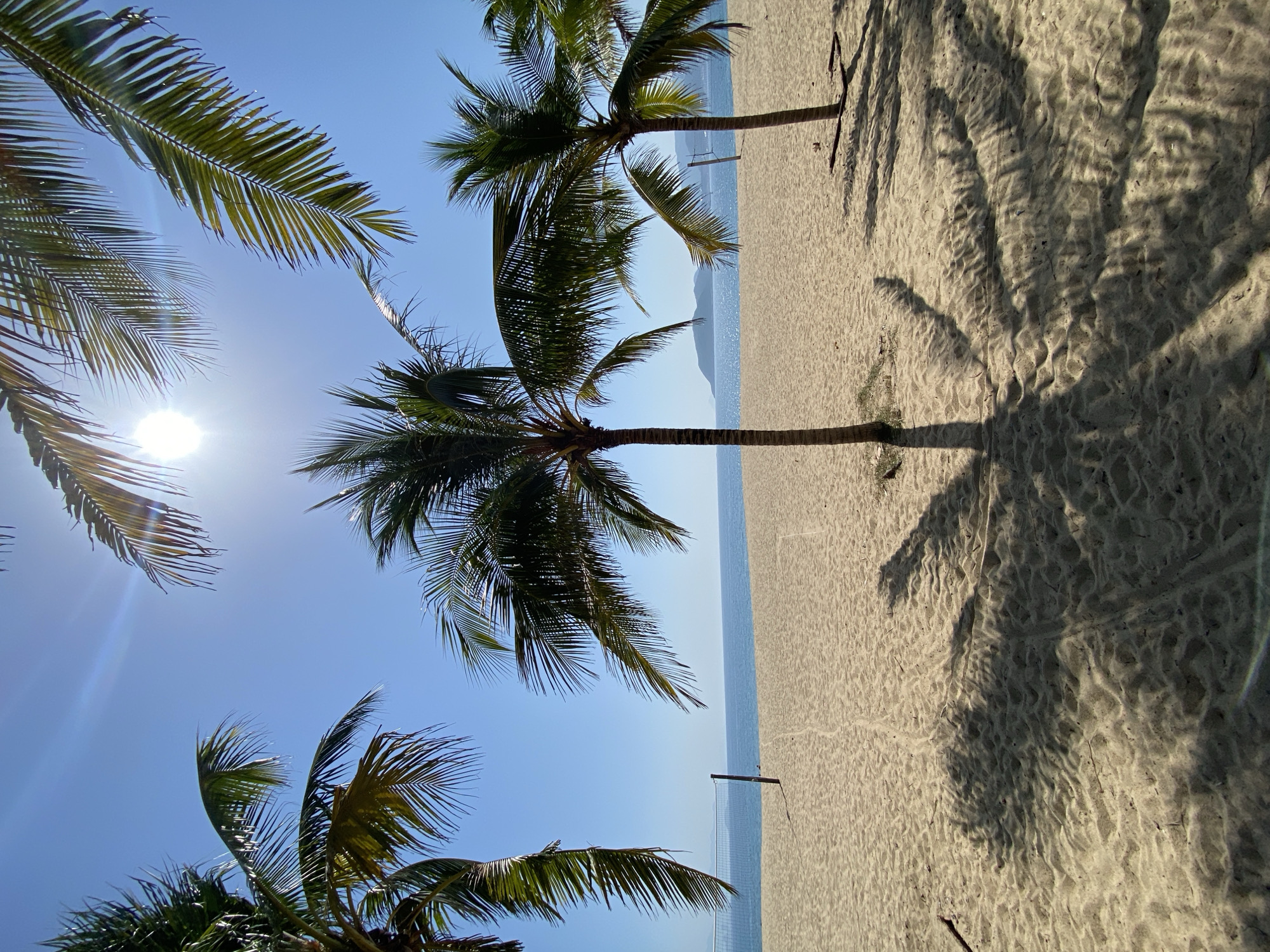 The image depicts a tropical beach scene on a clear, sunny day. In the foreground, golden sand is imprinted with the shadows of palm trees, casting intricate patterns. Several palm trees are visible, with their fronds extending towards the bright sky. In the middle ground, a volleyball net stands on the sand, suggesting a recreational area. Beyond the beach, the calm, blue ocean stretches to the horizon, where a faint outline of a distant island or peninsula can be seen. The sky is a vivid, cloudless blue, with the sun appearing as a bright, circular light source, creating lens flare. The overall impression is one of a serene and inviting beach environment, characteristic of coastal areas in Nha Trang, Vietnam.