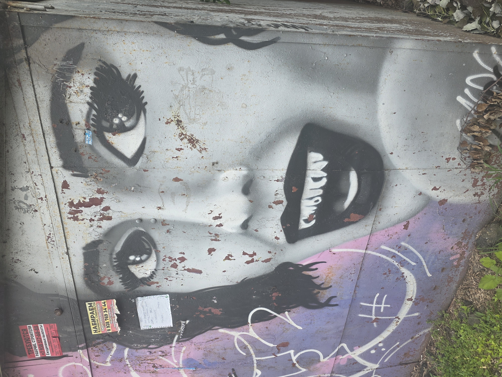 The image shows a close-up of a piece of street art, specifically a graffitied depiction of a stylized human face painted on a weathered metal surface. The face features exaggerated eyes and lips outlined in black and white. The paint is applied in shades of gray and black, with hints of purple and white spray paint visible around the lower part of the face. Stickers and fliers are plastered in the bottom left corner of the metal surface, with Russian text and phone numbers visible on them. The metal surface is showing signs of wear and tear with flaking paint and rust spots. To the right, there are dried leaves and greenery, suggesting an outdoor environment.