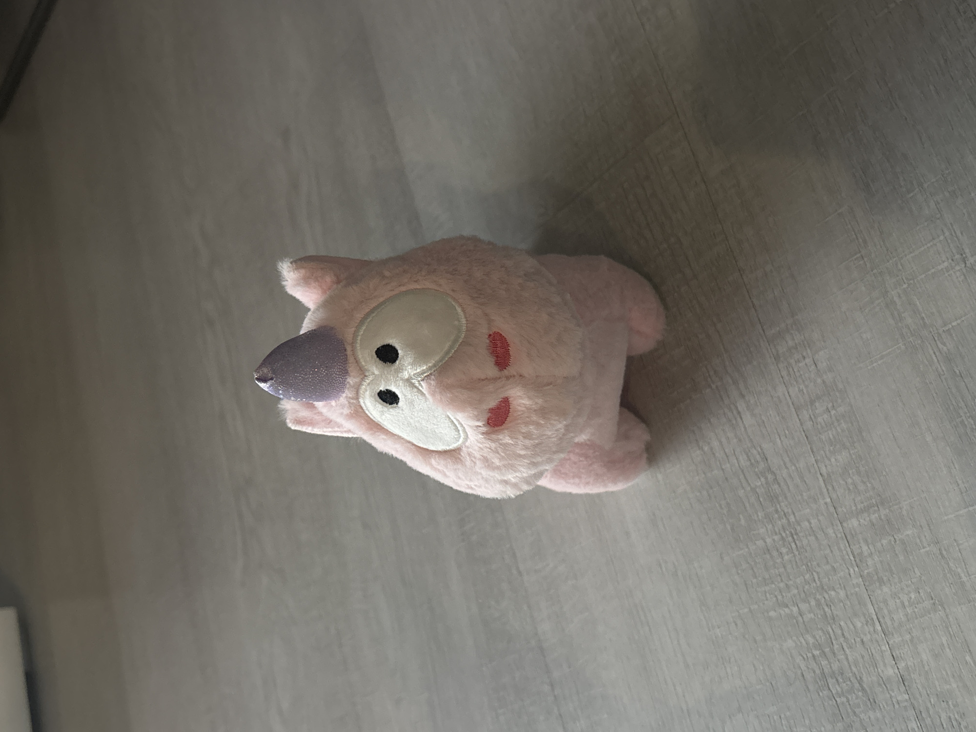The image shows a pink plush toy with a purple nose lying on a grey wood-look floor. The toy has white eyes and a stitched red blush on its cheeks. There are no people present, and the setting appears to be indoors, likely a domestic environment. The specific location in Saint Petersburg, Russia, cannot be determined from the provided image.
