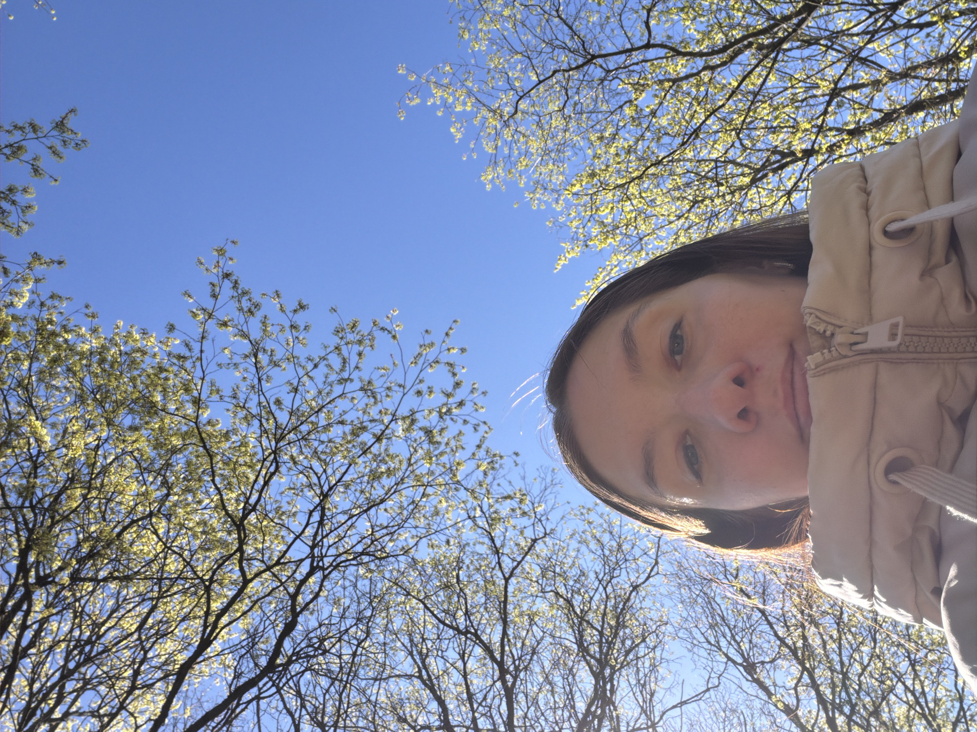 A low-angle selfie captures a person with light skin and dark hair, partially framed in the lower right corner. The person is wearing a beige hooded jacket with a visible zipper and drawstrings. Behind the person is a clear blue sky interspersed with bare tree branches and small, budding leaves. The trees form a dense network across the lower and left portions of the image, partially obscuring the sky. The overall scene suggests an outdoor environment, possibly a park or wooded area. The location, Tokkari, Russia, is inferred.