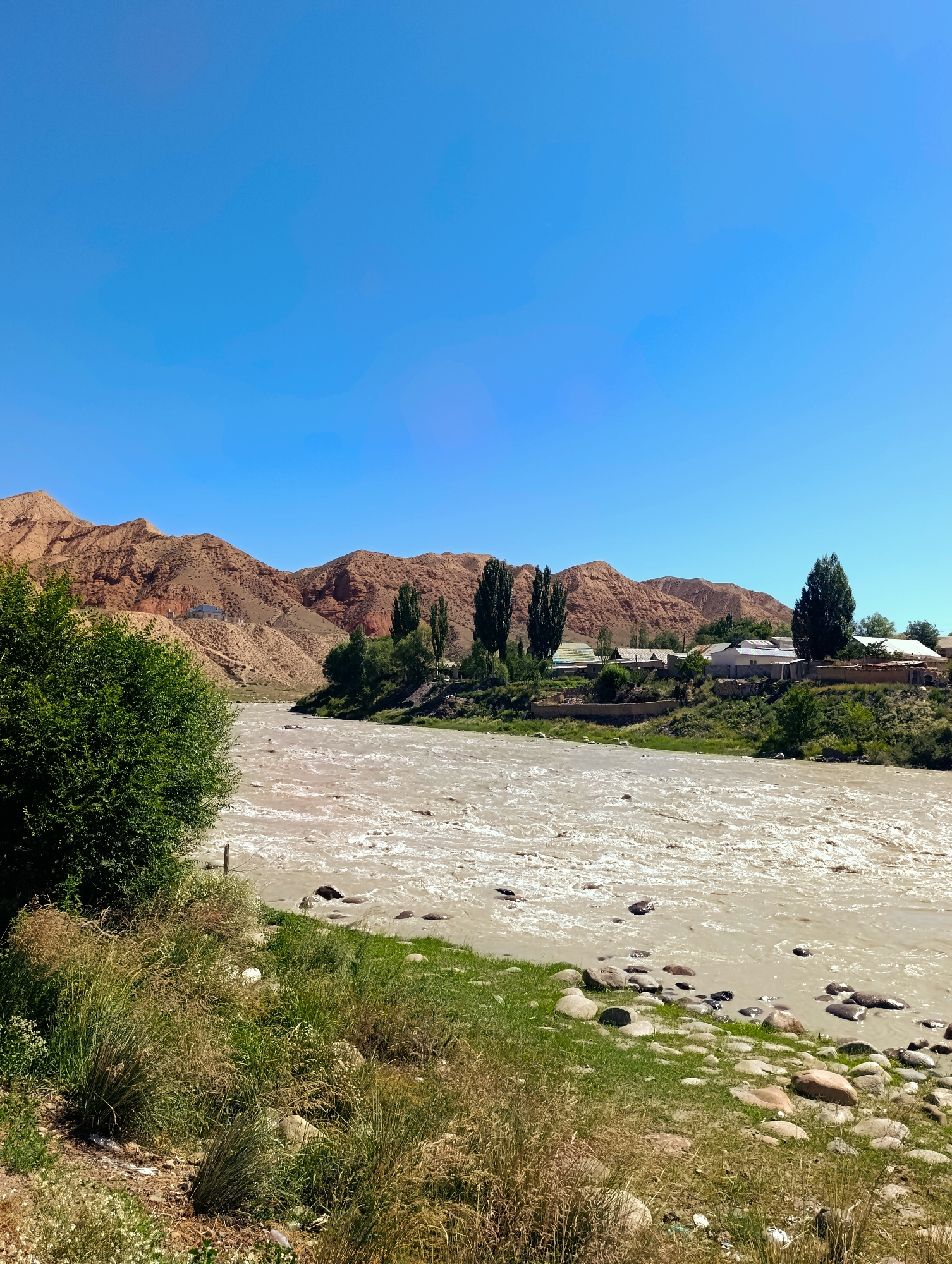 The image depicts a scene along the Naryn River in Naryn City, Kyrgyzstan, under a clear, bright blue sky. The river, appearing muddy and fast-flowing with visible ripples and white water, occupies the mid-ground and foreground. Along the riverbanks, rocks of various sizes are scattered, some submerged in the water and others on the grassy bank.
On the right bank, a small settlement is visible. It consists of several houses with light-colored roofs, some appearing to be made of corrugated metal. These houses are situated on a slope covered with greenery and interspersed with trees. Further back, a range of rugged, reddish-brown mountains forms the backdrop, characterized by steep slopes and eroded rock formations.
To the left of the river, a lush green bush dominates the foreground, with dry grasses and some scattered white wildflowers growing at its base. The overall environment suggests a rural or semi-rural area within a mountainous region. There are no people visible in the image.