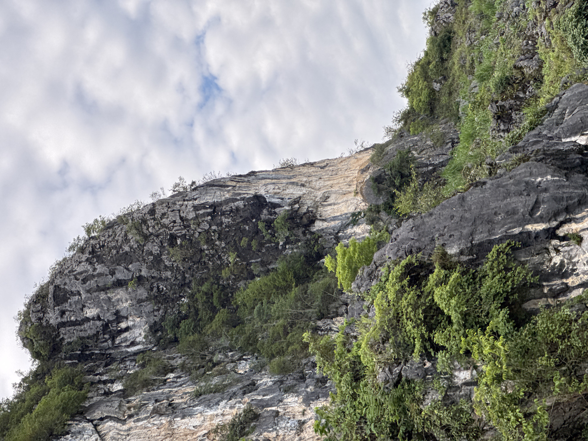 The image shows a view of a steep, rocky cliff face covered with vegetation, including trees and vines. The cliff consists of grey rock with some areas of lighter-colored striations. The vegetation is predominantly green. The sky above is partly cloudy, with patches of blue visible. The image is captured in Lũng Cú Commune, Vietnam.
