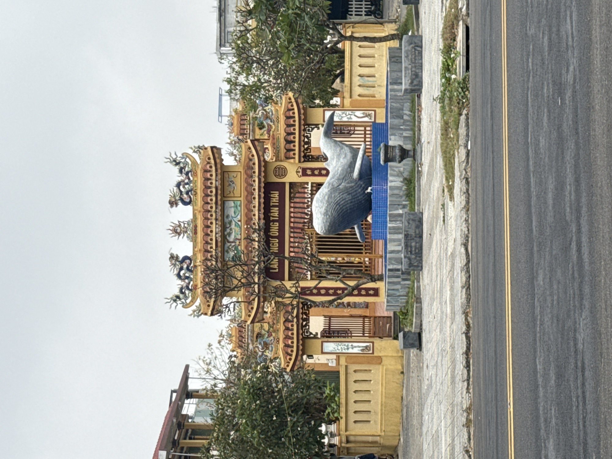 The image depicts the Lăng Ngư Ông Tân Thái (Whale Temple Tan Thai) in Thọ Quang, Sơn Trà District, Đà Nẵng, Vietnam, under an overcast sky. The central structure is a traditional Vietnamese temple characterized by its golden-yellow facade and multi-tiered, ornate roofs adorned with colorful dragon sculptures in blue, green, and red. A prominent sign above the main archway displays "LĂNG NGƯ ÔNG TÂN THÁI" in Vietnamese characters. Red banners with gold text hang vertically near the entrance.
In front of the temple, a large, grey statue of a whale is situated within a circular, blue-tiled basin, functioning as a fountain. The temple complex is surrounded by a paved plaza made of light-colored tiles, featuring several small trees, some with sparse foliage, and small shrubs. Stone benches or blocks and two black urn-like planters are also present in the plaza.
A two-lane asphalt road with double yellow lines runs horizontally across the foreground, separating the viewer from the plaza and temple. To the left of the temple, a multi-story building with a red roof is partially visible, while to the right, a plainer, grey building stands. No individuals or active interactions are clearly depicted in the scene, though a vague figure is partially visible behind the left fence and a scooter or motorcycle is barely visible behind the right fence.
