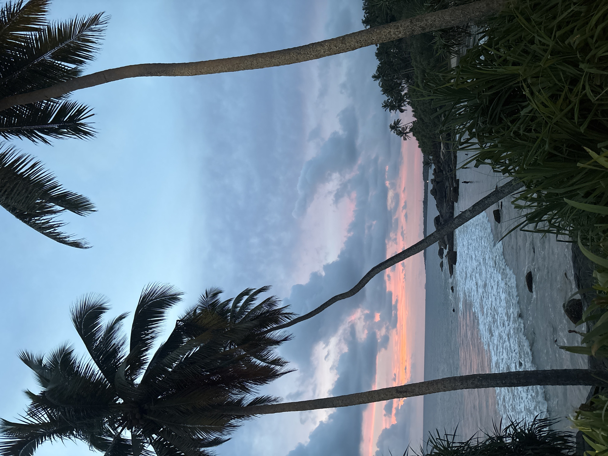 The image captures a serene tropical beach scene at twilight, likely either sunrise or sunset, in Ahungalla, Sri Lanka. Several prominent palm trees frame the view, with their dark silhouettes contrasting against the vibrant sky. Some palm trunks exhibit distinct curves, leaning towards the water, and their fronds are visible in the foreground and mid-ground. Dense tropical foliage, possibly pandanus plants, borders the sandy shore on the right and bottom right, adding to the lush coastal environment.
The sky is a notable feature, displaying a beautiful gradient of colors from light blue at the top, transitioning through soft purples and grays, to warm pinks and oranges near the horizon, indicating the low sun. Scattered clouds are present, reflecting these twilight hues. The calm ocean extends across the lower portion of the image, with gentle, white-foamed waves breaking softly on the light-colored beach. In the far distance, a faint coastline or headland is visible, and small, indistinct dark figures can be seen in the water near the shore, suggesting people in the distance. The overall mood is peaceful and tranquil. No text is visible in the image.