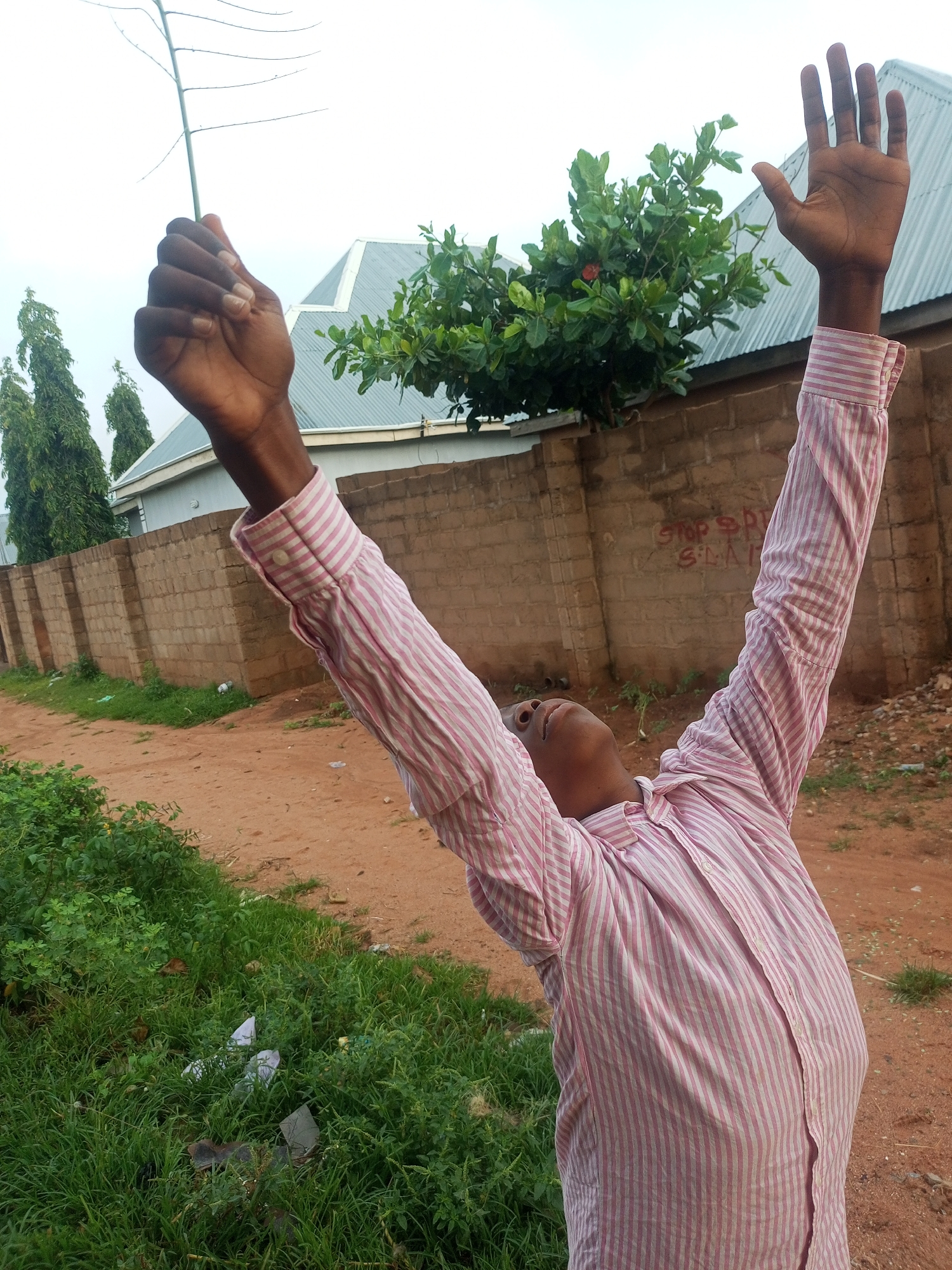 A full-body shot, captured from a low angle, features a young Black male dressed in a pink and white striped button-down shirt. His head is tilted back, and his arms are raised upwards, with his left hand gripping a thin, bare tree branch. He stands in an outdoor environment, possibly in the city of Tempure, Nigeria, with a reddish-brown dirt path in the foreground. To the left, lush green grass and some white plastic bags are visible. A brick wall borders the path, and behind it, a building with a corrugated metal roof and a dense green tree with a red fruit are seen. In the background, tall, slender trees stand against a bright, overcast sky. A message, seemingly "STOP BID SLATE," is spray-painted on the brick wall.