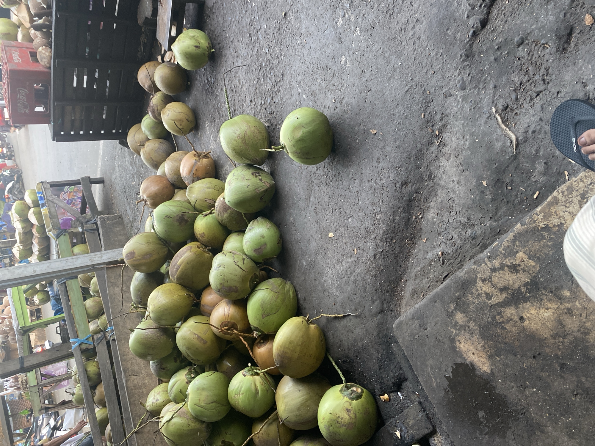 The image depicts an outdoor market scene in Ta', Indonesia, likely a roadside stall selling coconuts. In the foreground, a large pile of green and brown coconuts are scattered on the rough, dark ground. The coconuts vary in size and shape, with some still attached to their stems. A partially visible foot wearing a dark flip-flop is present in the bottom right corner, suggesting a person is standing or sitting nearby.
In the middle ground, more coconuts are arranged on wooden racks, suggesting a larger quantity available for sale. Behind the coconuts, a red Coca-Cola crate is visible, placed on a wooden structure. Further in the background, the market appears to extend with more wooden stalls and what appear to be more coconuts or other produce. A street with a few motorcycles is visible in the far background. The ground is predominantly dark and somewhat uneven, possibly a dirt or asphalt surface with debris. The overall impression is of a bustling, informal marketplace.