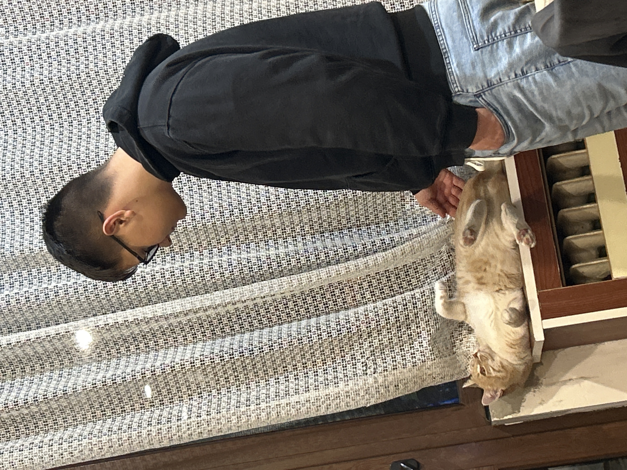 A person wearing a black hooded sweatshirt, jeans, and glasses is seen looking at a light orange cat. The cat is lying upside down in what appears to be a window sill or the top of a radiator cover. The location is indoors and the background includes a textured curtain or screen. There is no visible indication of the city of Panagyurishte, Bulgaria.