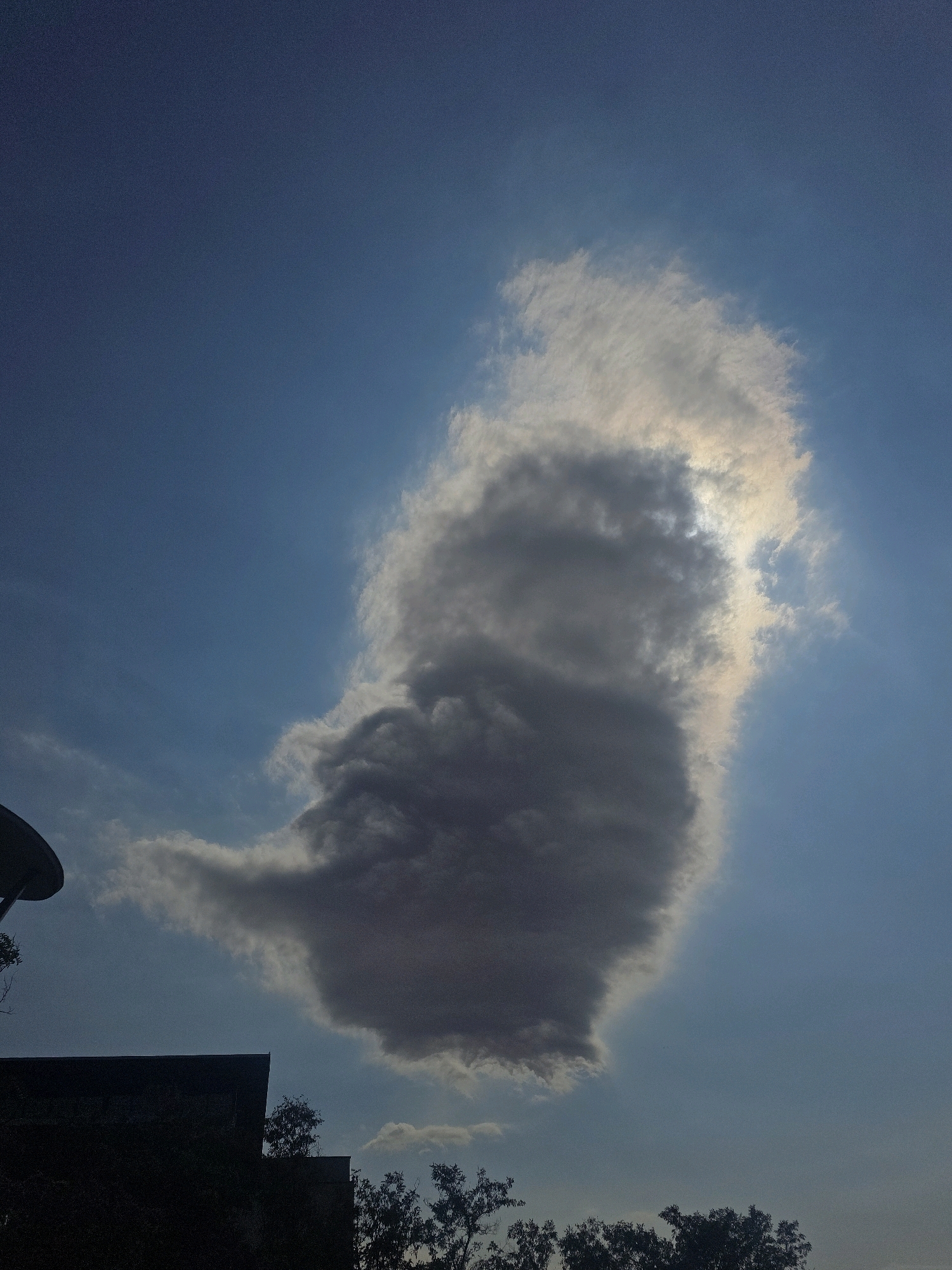 A cloud formation resembling a head with a prominent nose and a trailing wispy body is captured against a blue sky. The sun is partially obscured by the cloud, casting a bright glow around its edges. In the lower portion of the image, silhouetted against the sky, are the rooftops of buildings and the tops of trees, suggesting an urban or suburban environment. The scene appears to be an outdoor shot, possibly taken during daylight hours. The location is specified as Harmanli, Bulgaria.