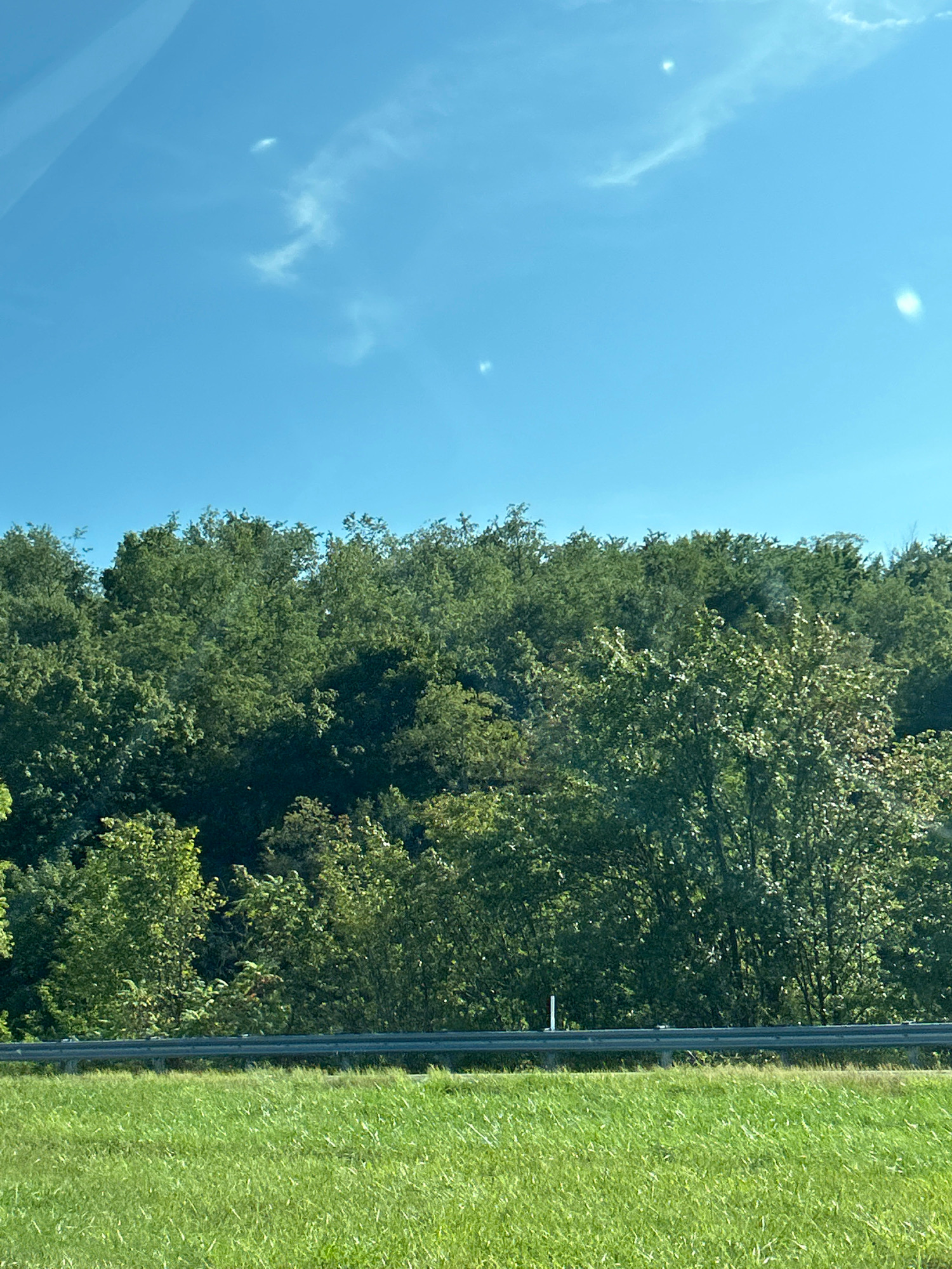 This is an outdoor, eye-level, landscape photograph taken from a roadside perspective. The foreground is dominated by a bright green, grassy field. Behind the field, a silver guardrail runs horizontally across the image, marking a clear boundary. Beyond the guardrail, a dense line of lush green trees forms a natural barrier, their foliage varying in shade and texture. The background consists of a clear, bright blue sky with a few wispy white clouds scattered across it. The scene depicts a natural environment, likely a rural or semi-rural area, with no visible people or man-made structures other than the guardrail. The lighting suggests it is daytime, possibly late morning or early afternoon, given the brightness of the sky and the vibrant green of the grass. There are no apparent signs of the city of Robinson Township specifically visible in this image.