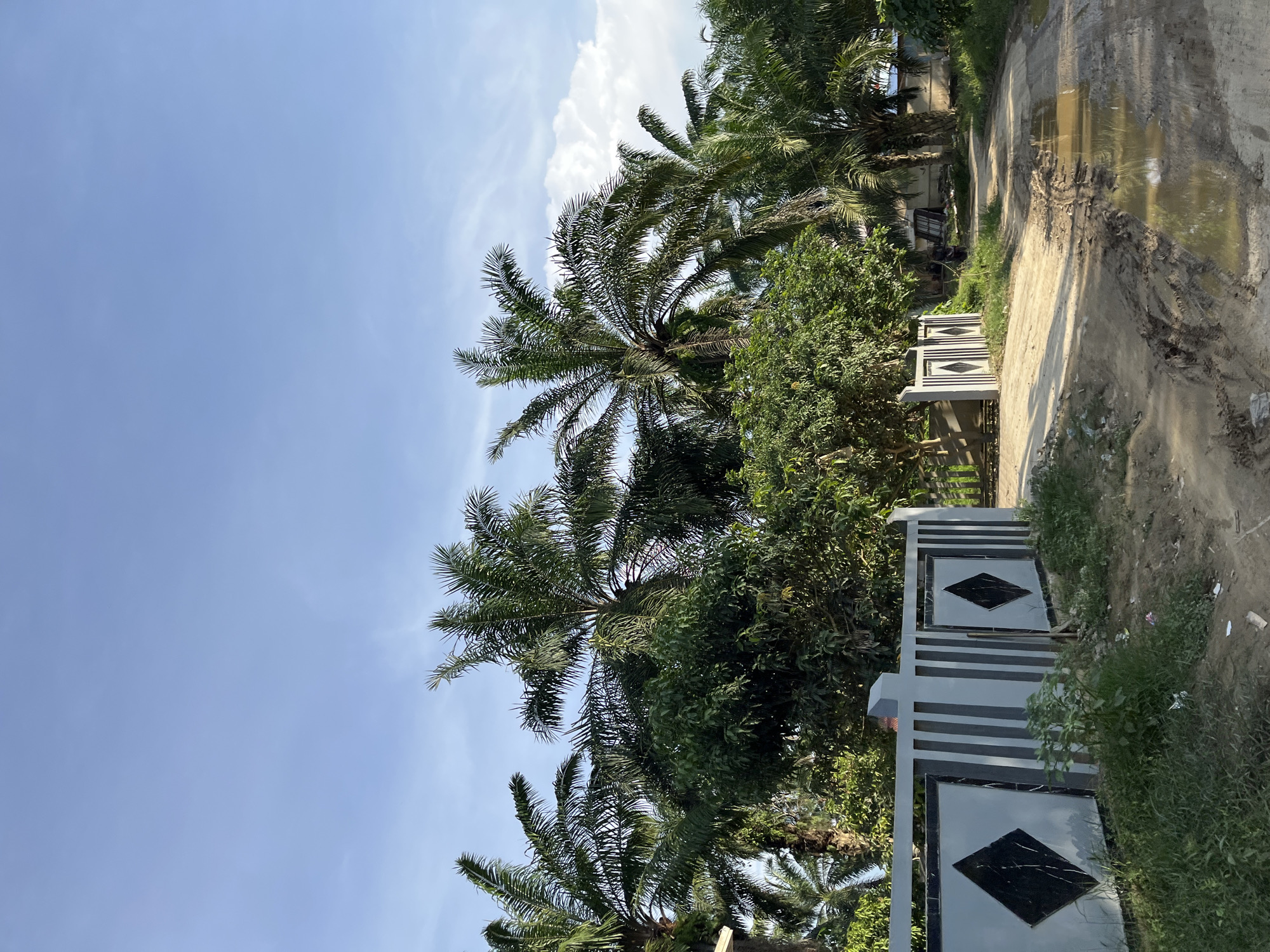 The image depicts a dirt road in Landuh, Indonesia, with palm trees and lush green foliage lining its sides. A white and gray patterned fence with diamond-shaped accents runs along the left side of the road, partially obscuring a gate. The road itself is muddy and rutted, with several puddles reflecting the bright blue sky, suggesting recent rainfall. In the background, more trees and some simple structures can be seen. The overall scene captures a rural or semi-rural environment in the Indonesian landscape under a clear sky with scattered white clouds.