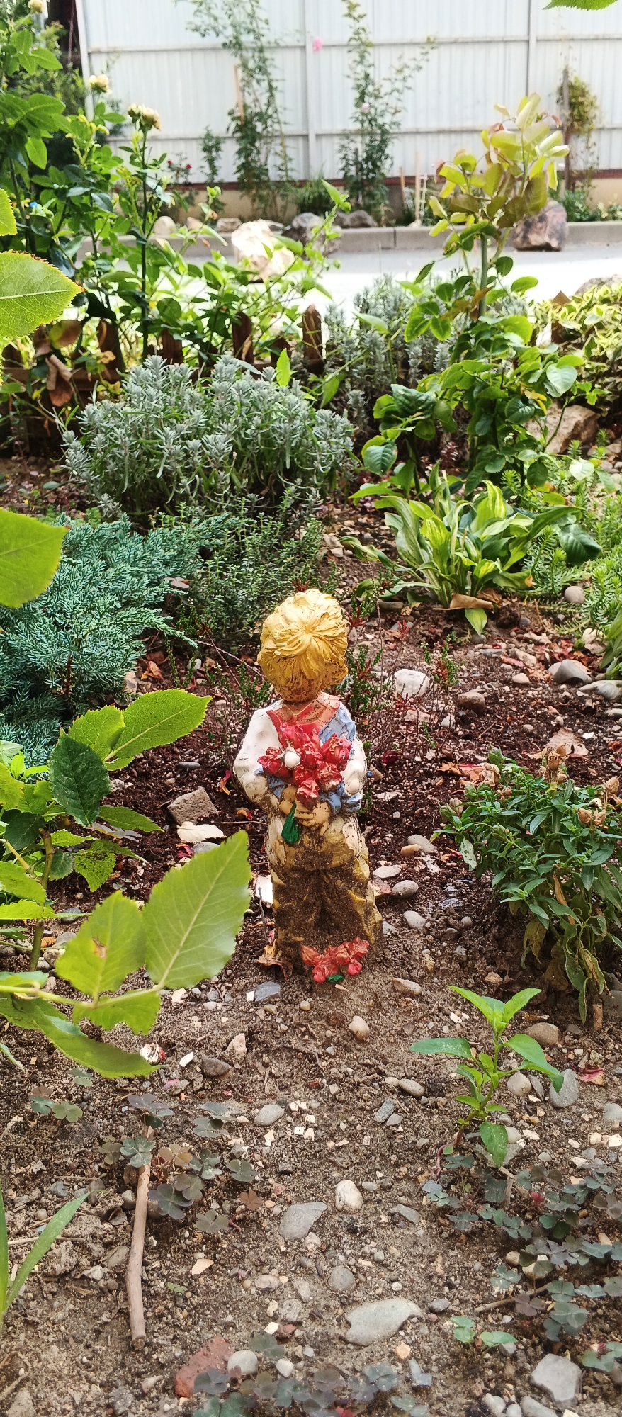 A garden figurine of a child with blonde hair stands in a garden. The figurine is wearing a white shirt with blue and red accents and holding a bouquet of red flowers. It is positioned on a patch of soil surrounded by various plants, gravel, and rocks. In the background, a metal fence runs horizontally across the frame, with more vegetation and some larger rocks visible behind the fence. The scene appears to be an outdoor garden setting, possibly in a residential area of Berehove, Ukraine, given the context of the question.
