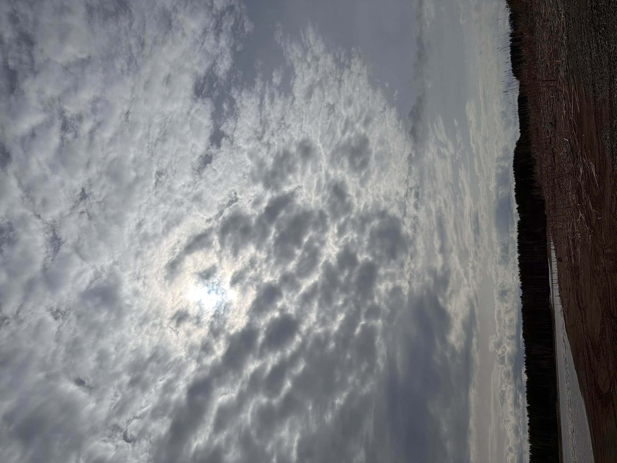 The image depicts a cloudy sky over what appears to be a body of water and a shoreline. The clouds are textured, with varying shades of gray and some lighter areas where the sun is breaking through. The shoreline consists of trees and vegetation. The image is sideways. It is in the city of Chaikovsky, Russia.