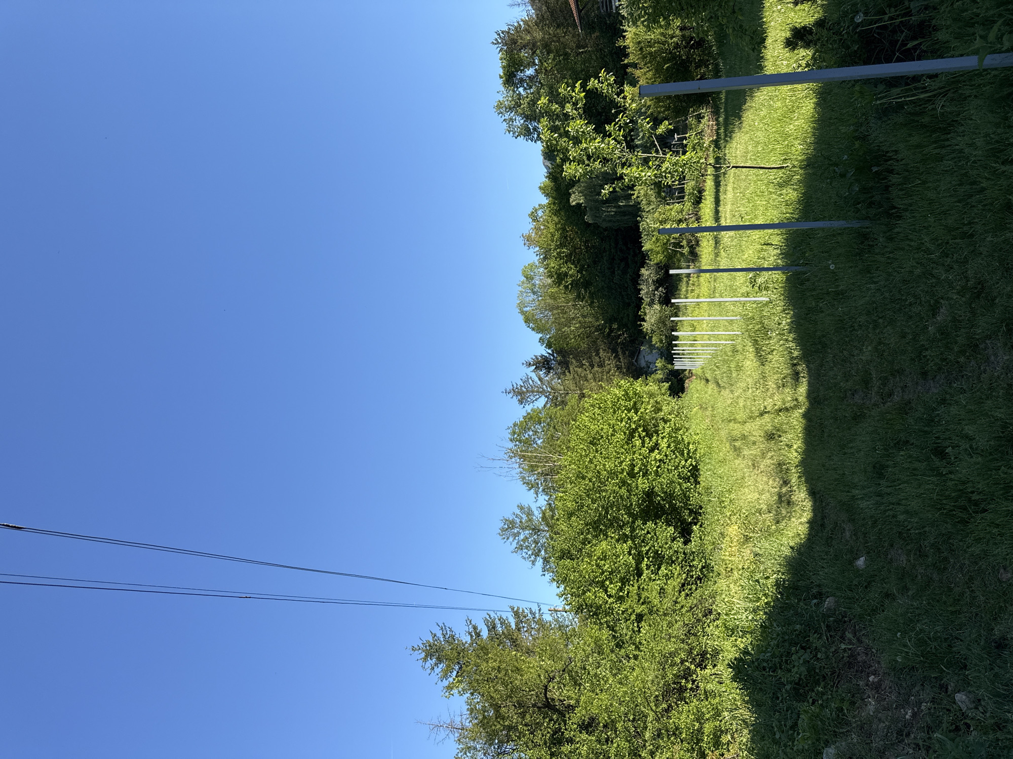 The image depicts an outdoor scene in Barziya, Bulgaria. A row of thin, grey metal posts stand in a grassy area interspersed with trees and bushes. Shadows from an unseen object fall across the grass. Power lines stretch across a clear blue sky. No people or animals are visible.