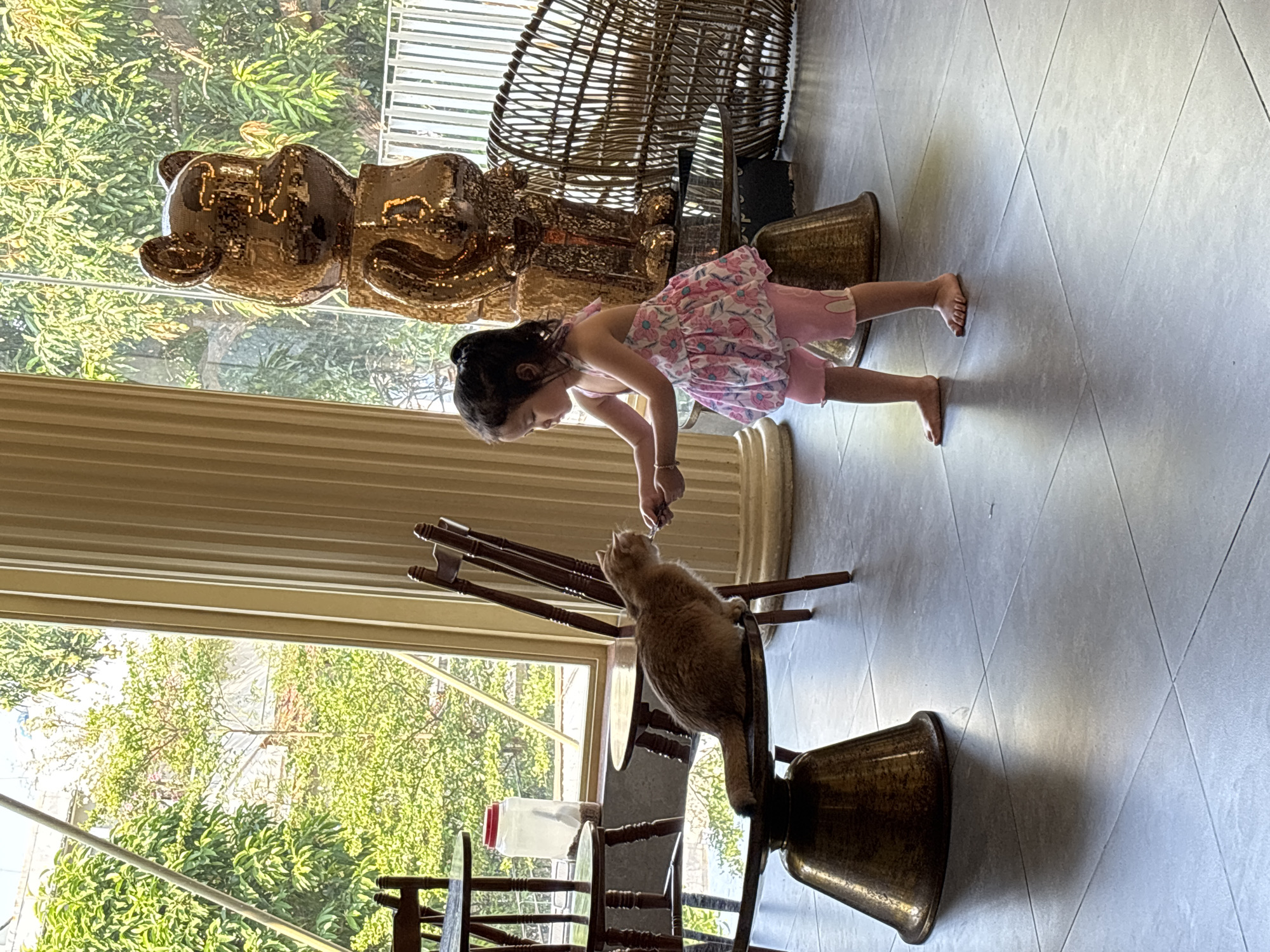 A young girl in a pink and floral dress and pink leggings is bending over, interacting with an orange cat sitting on a brass-colored chair with wooden spindles. The scene is indoors, likely in a cafe or restaurant, with a large window showing lush green foliage, possibly in Đà Nẵng, Vietnam. Behind the girl are a brass-colored bear statue and a wicker chair. The floor is tiled in a light gray diamond pattern. A plastic water bottle is visible through the window.