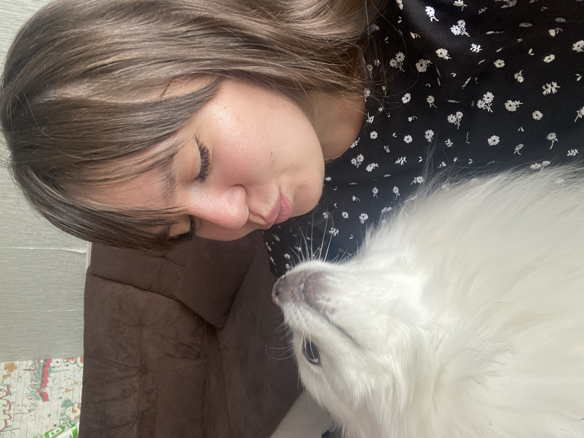The image shows a close-up of a young woman with brown hair leaning down towards a fluffy white dog. The woman's eyes are closed, and her lips are puckered as if she is about to kiss the dog. She is wearing a black dress with a small white floral pattern. The dog, likely a Samoyed, has its head tilted up towards the woman, with its mouth slightly open. The background is blurred, but appears to be an indoor setting with a brown couch and a wall with some colorful markings. The lighting suggests it is daytime. The overall mood is affectionate and intimate. No visible text is present in the image.