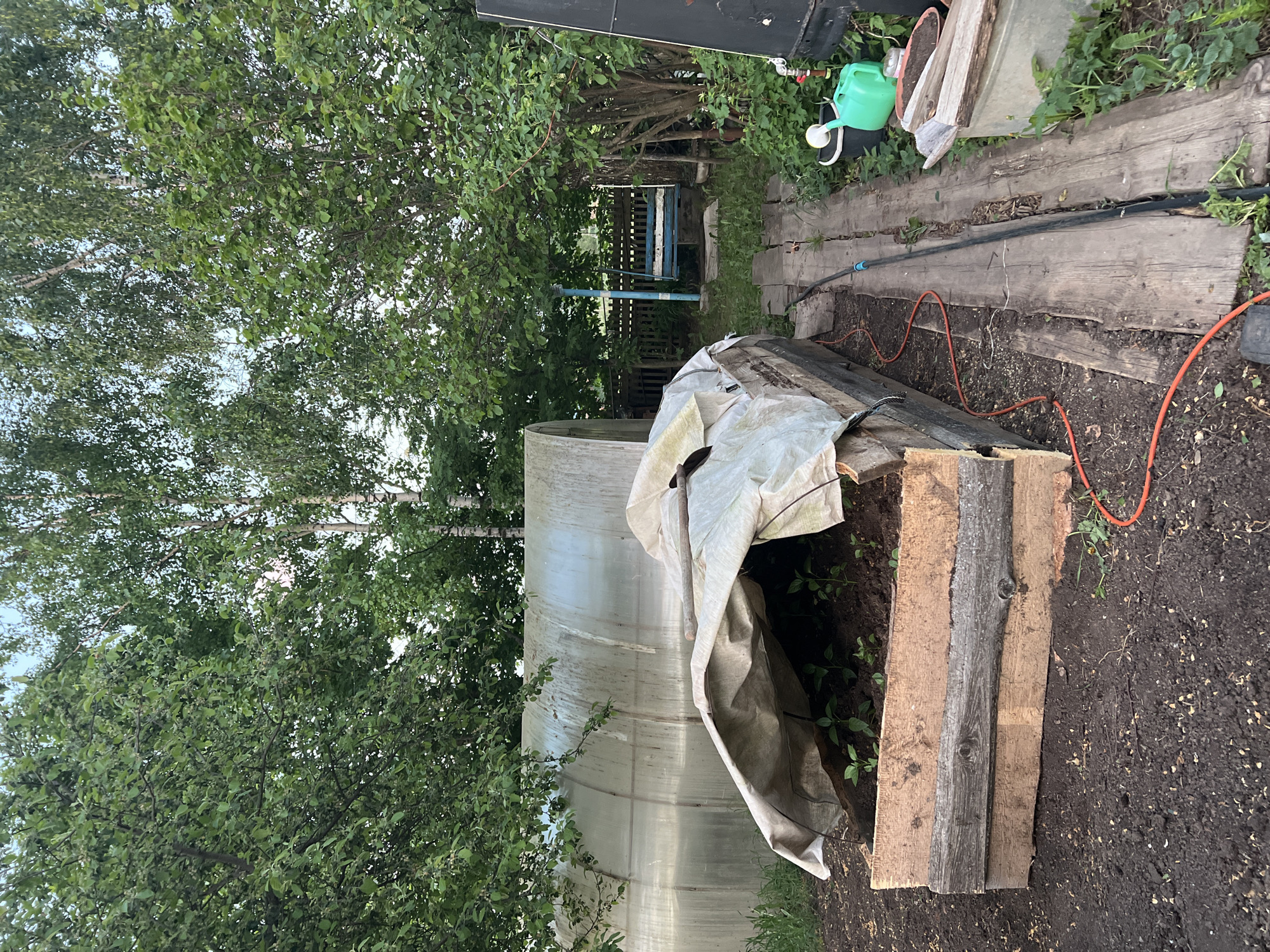 The image depicts a garden scene, likely in Panteleevka, Russia. A curved greenhouse structure is present on the left, partially covered by a tarp. To the right of the greenhouse, a small garden bed constructed from wooden planks contains small plants. An orange electrical cord runs along a wooden plank path leading towards the background. The path leads past a green watering can and other gardening supplies. Trees dominate the left side of the image, their branches filling the sky. In the background, a small blue and white bench is visible in a shaded area near a wooden fence. The ground is mostly soil.