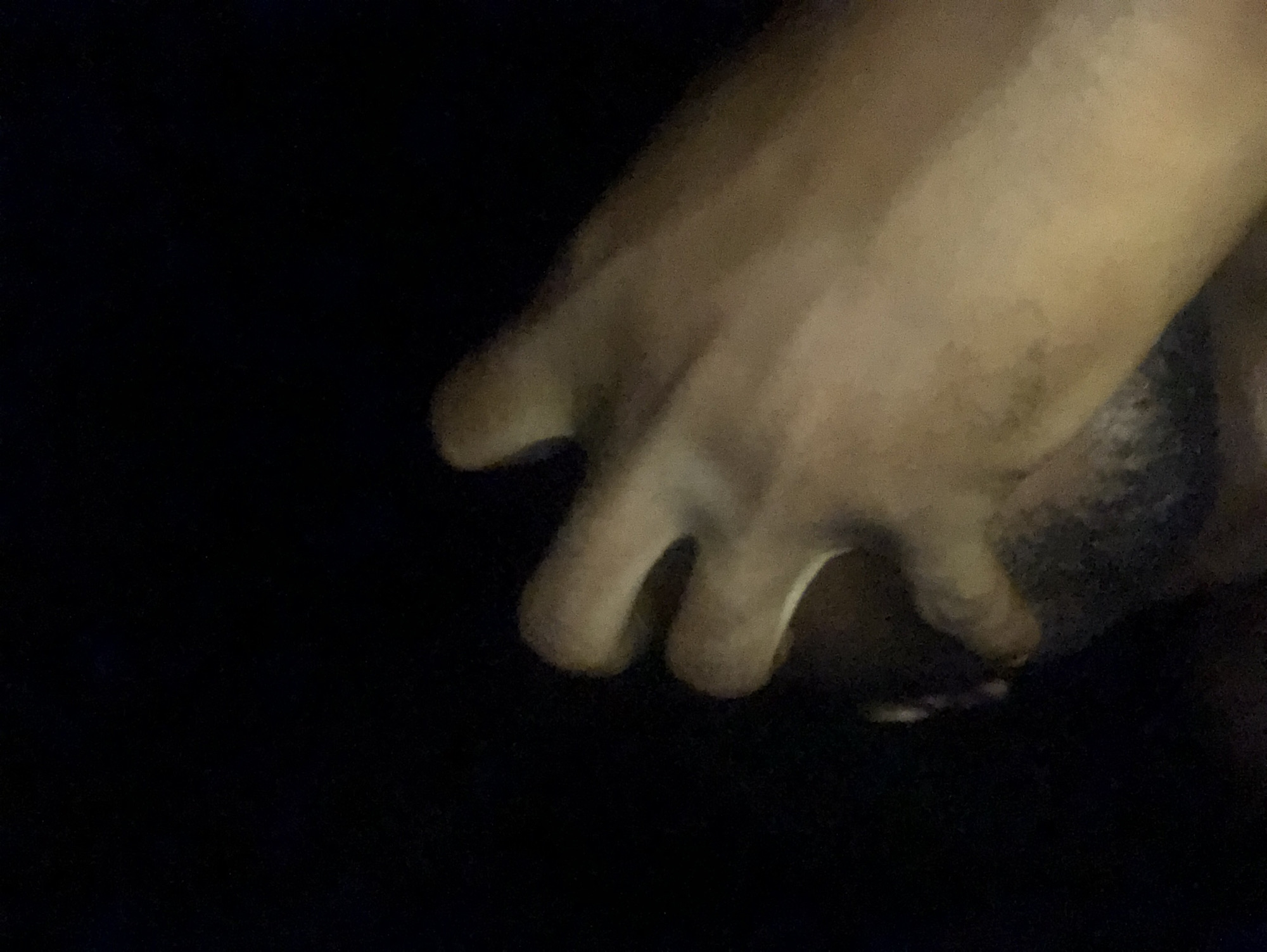 The image shows a human hand with brown skin tone, partially obscuring a patch of dark hair, possibly on a head or torso. The background is completely black. The location is unknown.