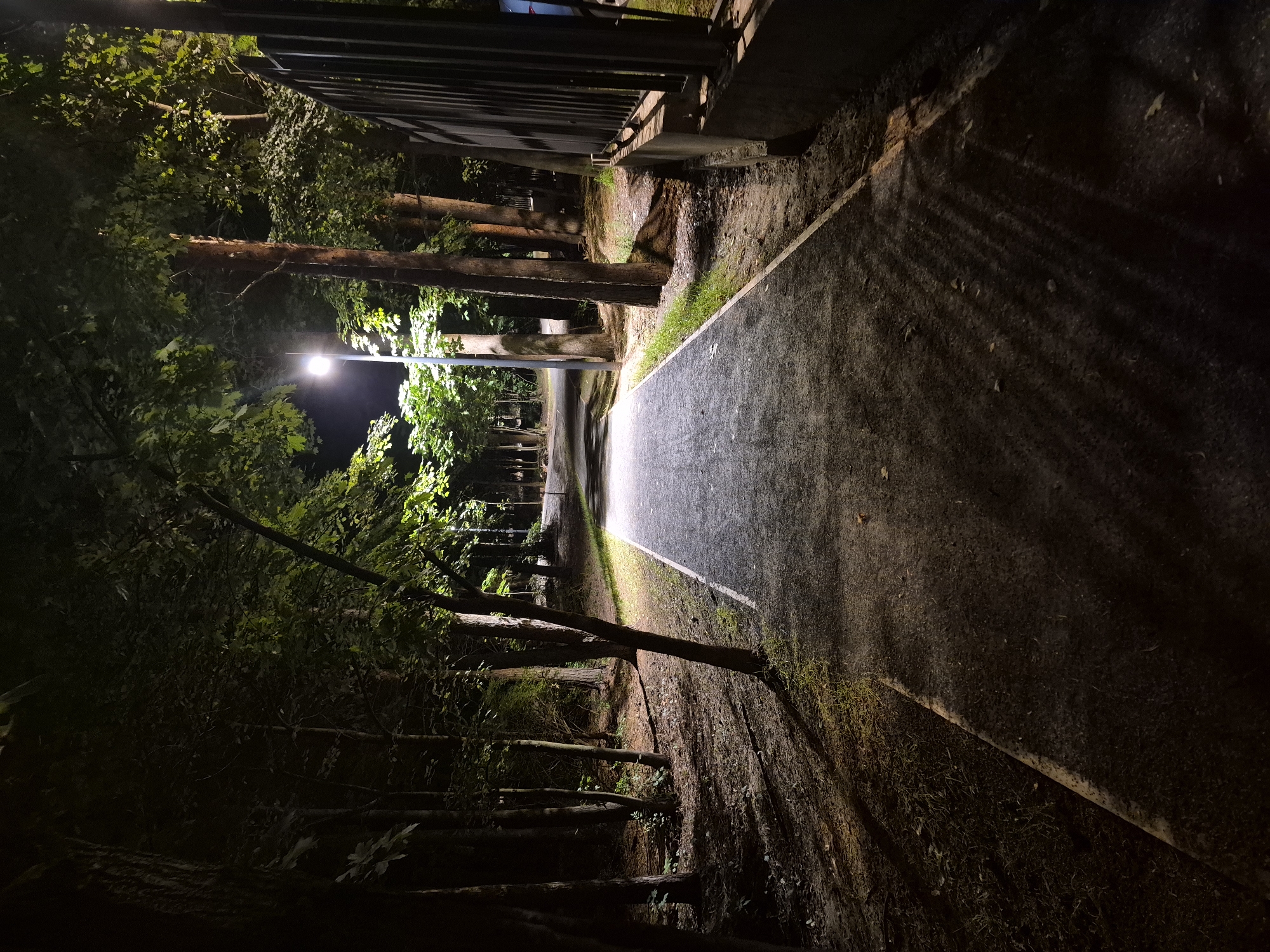 The image shows a paved walkway illuminated by a street lamp at night in a wooded area. The walkway is bordered by grass and trees on the left and a fence and concrete structure on the right. The ground on the left side of the walkway is covered with fallen leaves and dirt. The scene appears to be a park or a walking path within a natural setting, possibly in the city of Dzerzhinsky, Russia, given the context of the request. There are no people visible in the image.