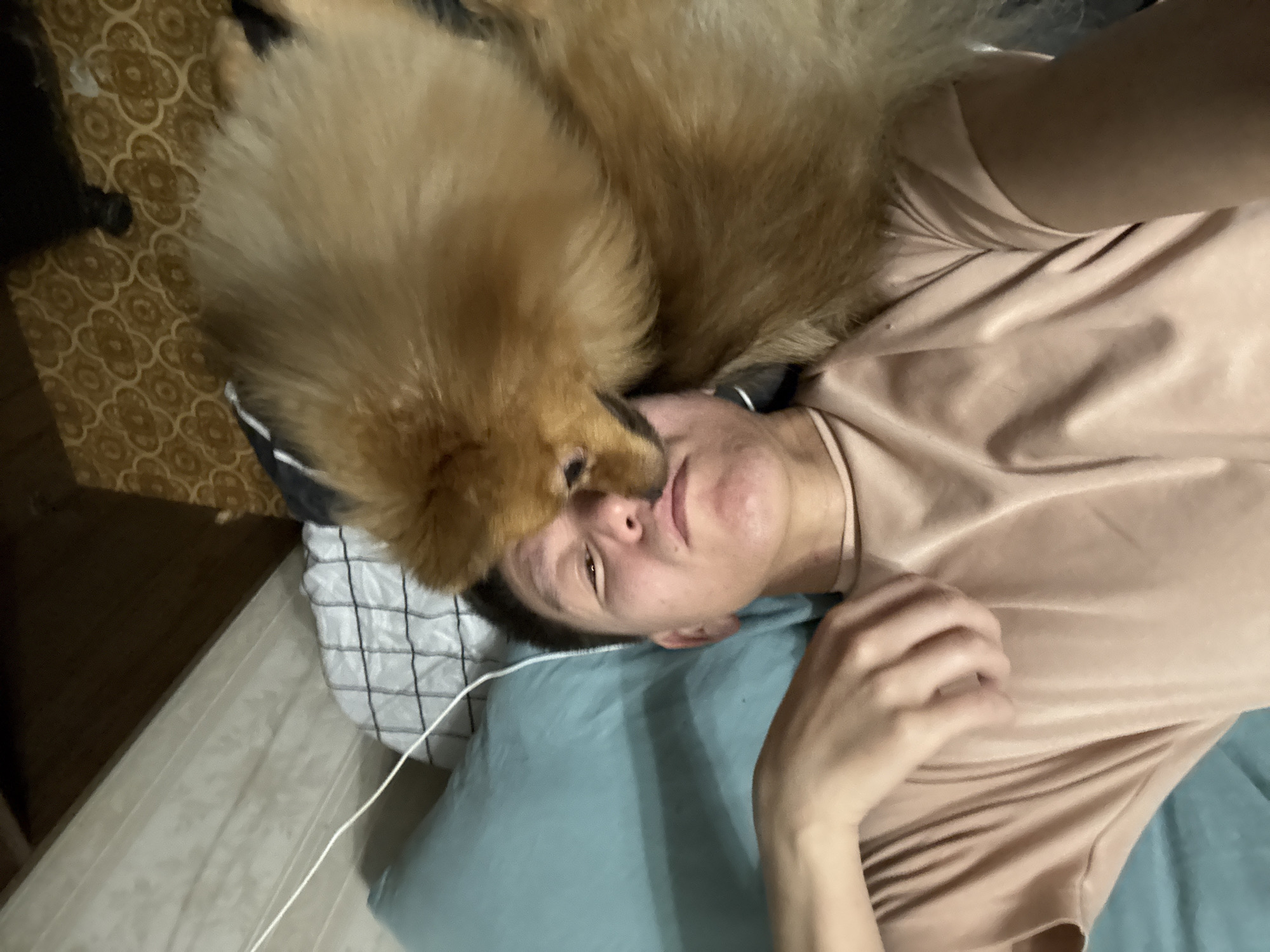 A selfie taken from the perspective of a person lying down, with a fluffy brown Pomeranian dog nuzzling their face. The person is wearing a light pink t-shirt and appears to be on a bed with a light blue pillow. In the background, there is a patterned wallpaper and what looks like a mattress. The image was captured in Khimki, Russia.