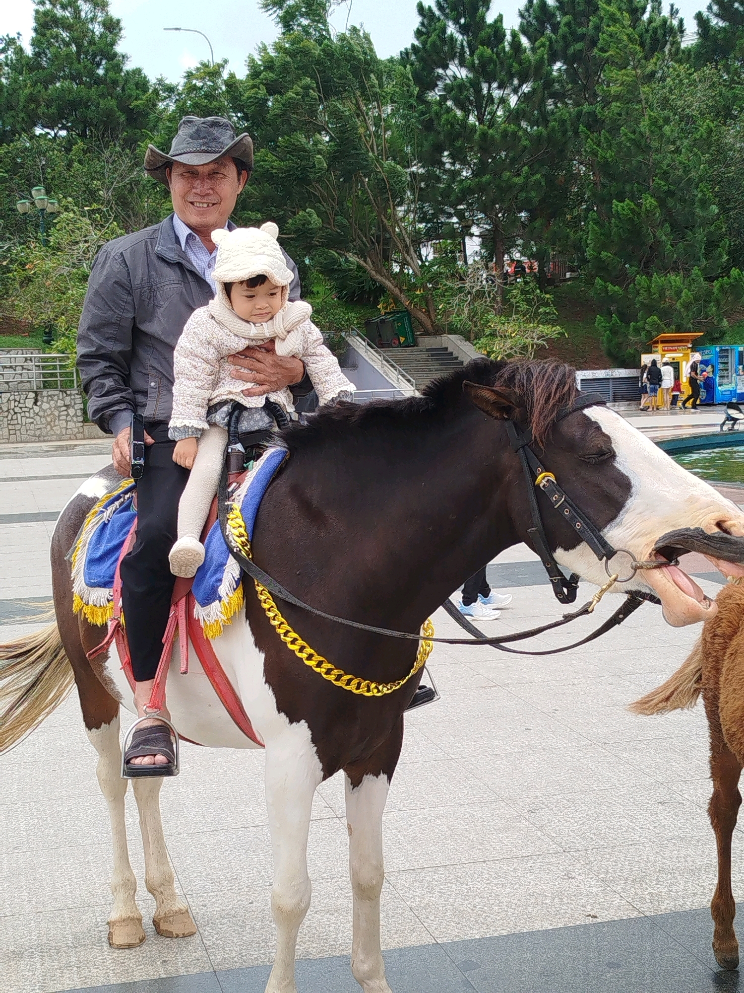 A man wearing a cowboy hat and a jacket is holding a young child in his arms while sitting on a brown and white horse. The child is wearing a white knitted hat and sweater. The horse has a decorative saddle blanket with gold chain accents and tassels. The man is wearing black pants and sandals. The horse is reaching its head towards another animal, possibly a calf, which is visible on the right side of the frame. In the background, there are lush green trees, a paved walkway, and some structures that appear to be part of an amusement park or tourist attraction, including vending machines and a body of water. The scene is likely taking place in Da Lat, Vietnam, a city known for its natural beauty and tourist attractions.
