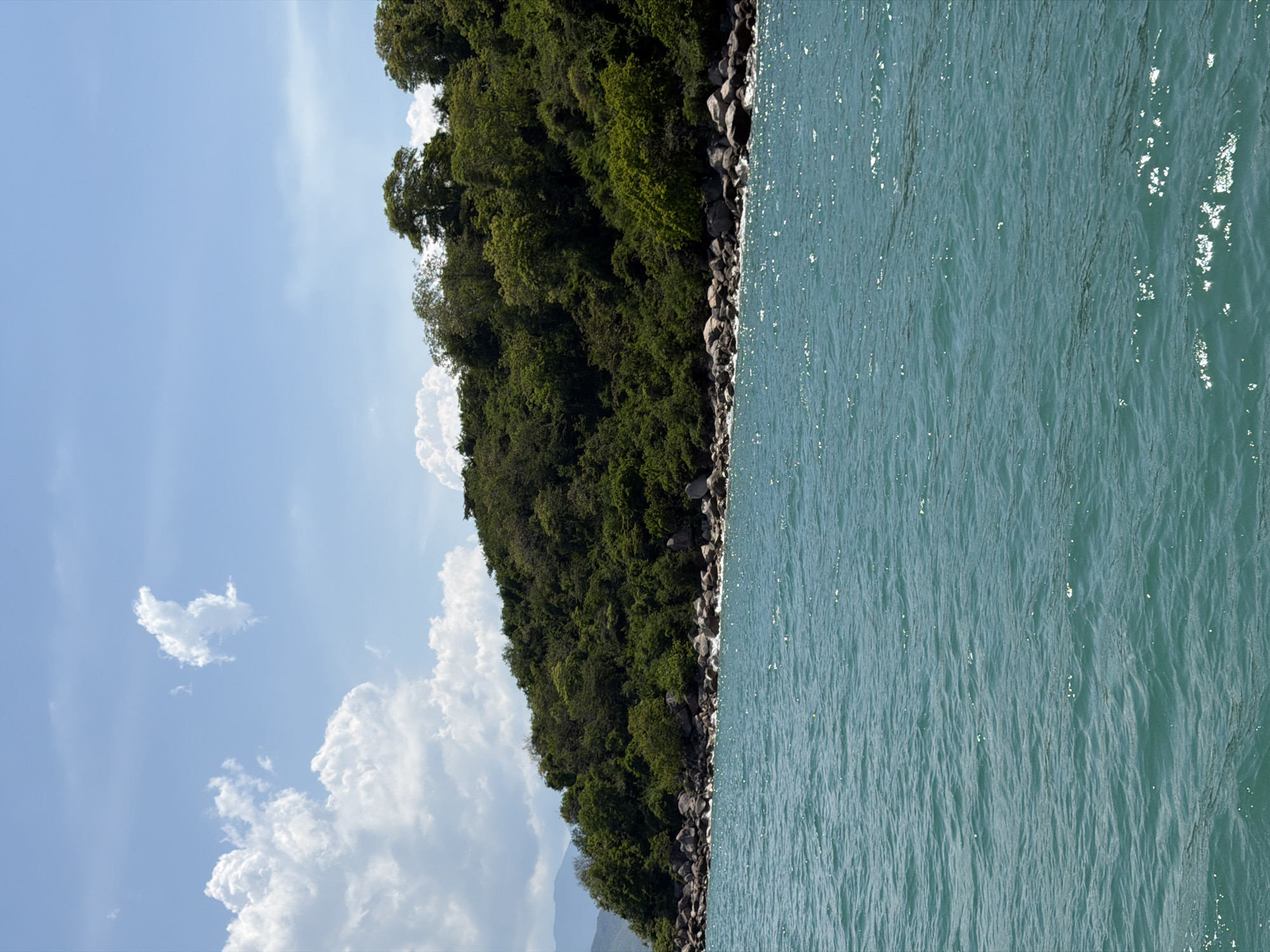 The image captures a scenic view of a coastline in Nha Trang, Vietnam. The foreground is dominated by the turquoise waters of the sea, with gentle ripples and sunlight glinting off the surface. A rocky shoreline borders the water, leading up to a densely vegetated hillside. Lush green trees and foliage cover the hillside, creating a vibrant natural landscape. The sky above is a bright blue with scattered white clouds, suggesting a clear and sunny day. The scene depicts a serene and natural coastal environment, typical of the region.