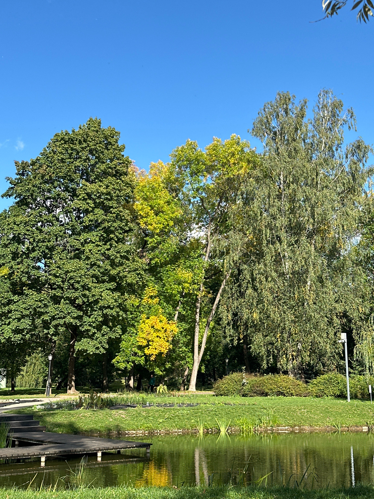 The image depicts a park scene in Minsk, Belarus, featuring a body of water in the foreground with a wooden pier extending into it from the left. The water reflects the surrounding greenery and the sky. Behind the water, a grassy bank leads to a line of trees. The trees exhibit a variety of foliage, with some being predominantly green and others showing autumnal colors of yellow and orange. The sky is a clear, bright blue. In the background, there are more trees, suggesting a dense wooded area. A pathway is visible in the distance, along with park benches and a lamppost. There are no people clearly visible in the frame. The overall impression is one of a tranquil park setting on a sunny day, likely during the autumn season given the leaf colors.