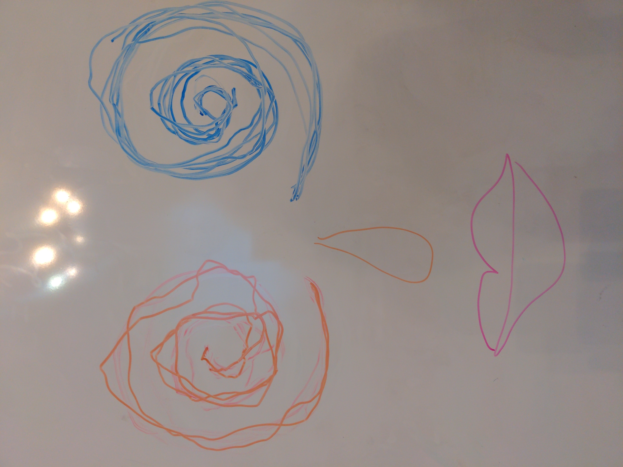 A white surface displays drawings in marker or similar medium. Top left, a blue spiral. Bottom left, an orange spiral. Center right, an orange teardrop shape. Far right, a pink leaf-like shape. The location is not specified.