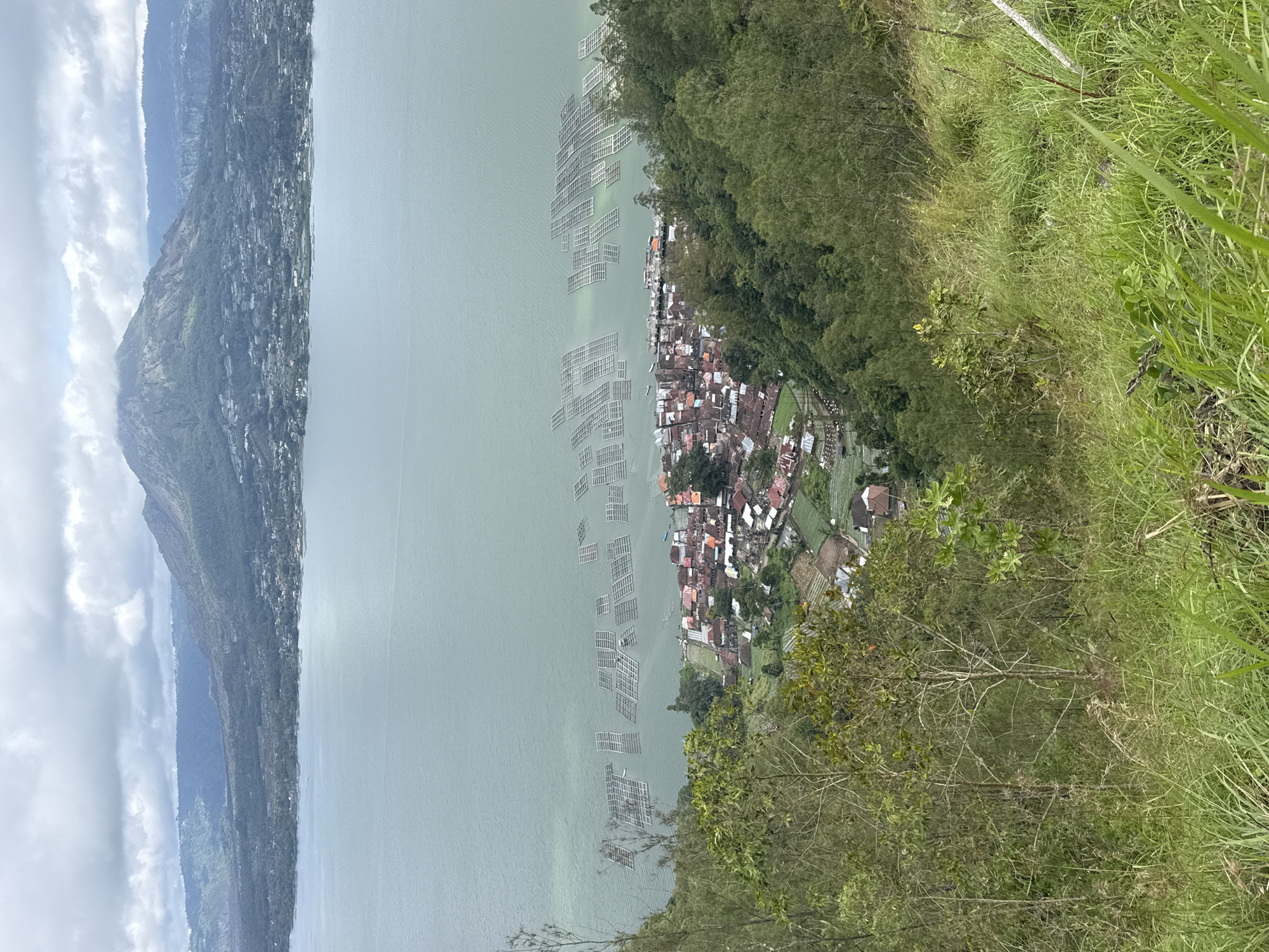 The image shows a high-angle view of a settlement next to a lake, possibly located in or near Kintamani, Indonesia. The lake appears murky, with a light green-grey hue. Rectangular structures that resemble floating platforms are scattered across the water. Adjacent to the lake is a densely populated area of closely packed houses and buildings, with roofs of varying colors, primarily red. A dense, green forest is positioned above the settlement, and the foreground of the image shows grassy vegetation typical of a hillside or mountain terrain. In the distance, a mountain range can be seen along the opposite shore of the lake, shrouded in clouds and mist.